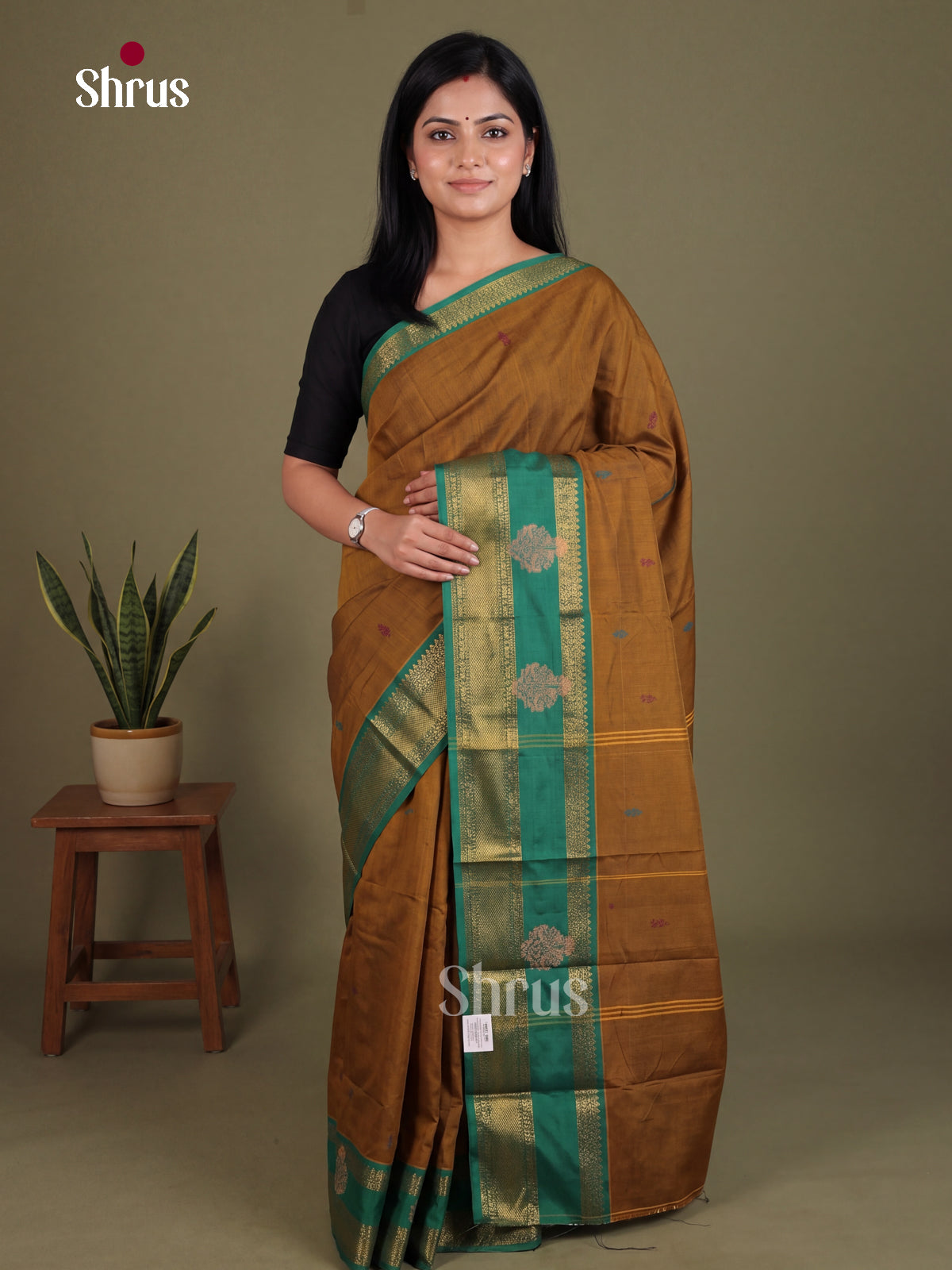 Chettinad Mix Cotton Saree - EES28108