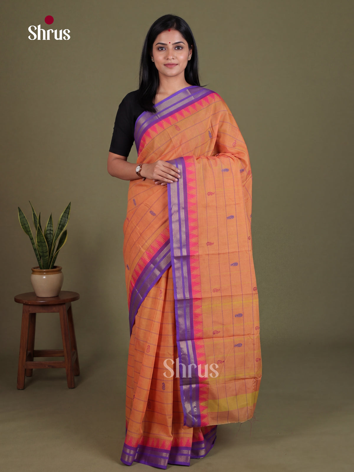 Chettinad Mix Cotton Saree - EES28116