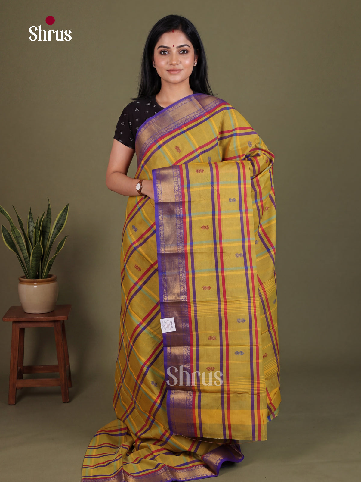 Chettinad Mix Cotton Saree - EES28144