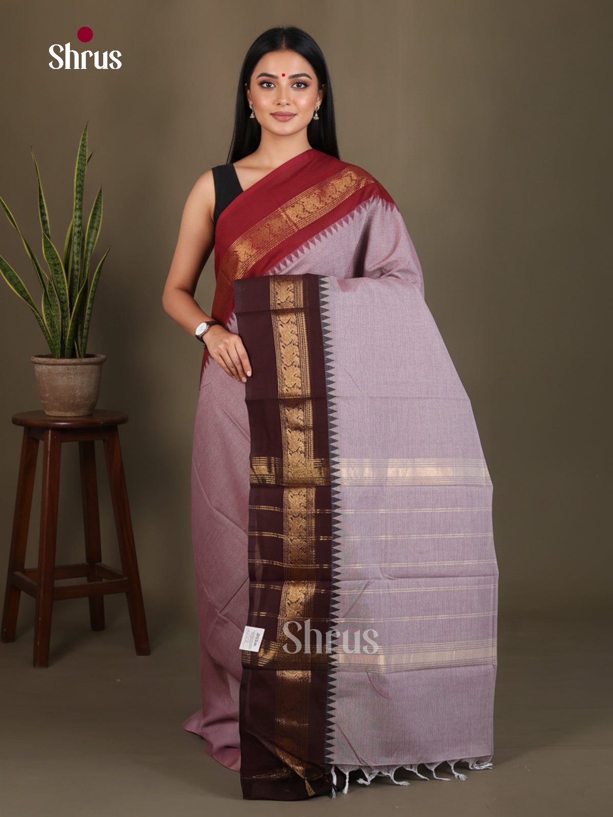 Chettinad Cotton Saree - EES29030 - Shop on Shrus.com