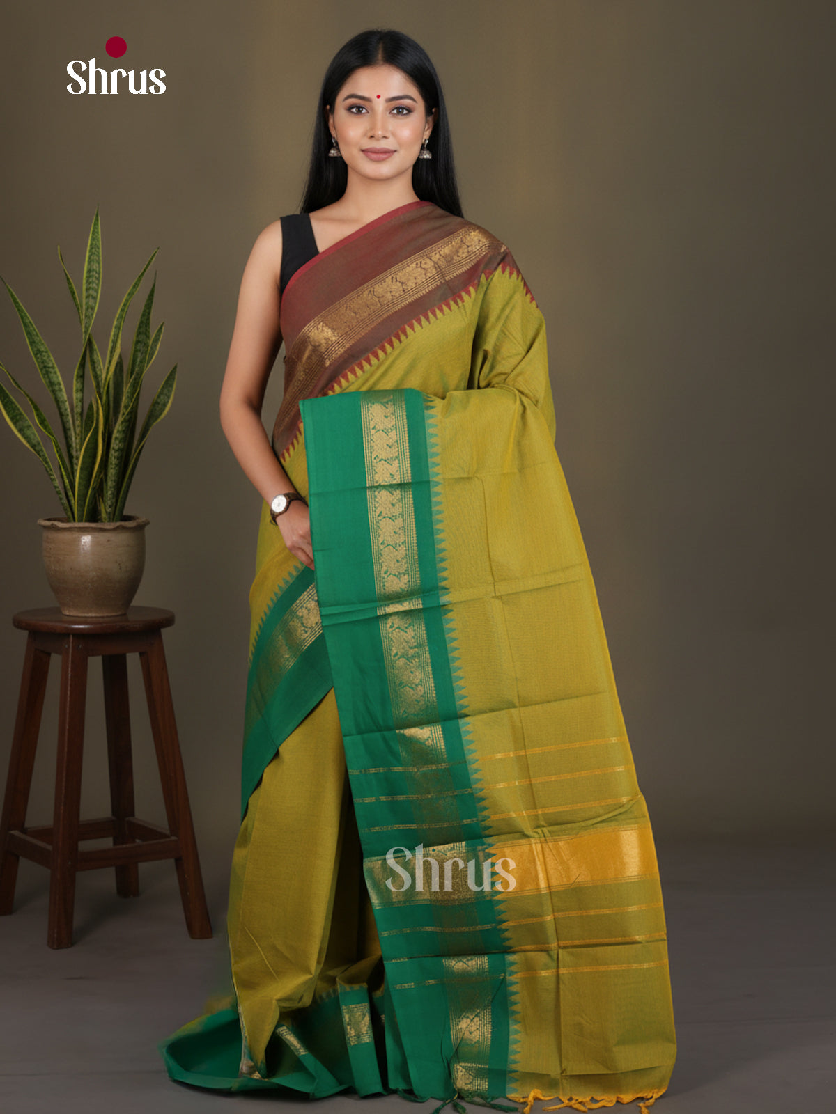 Chettinad Cotton Saree - EES29032 - Shop on Shrus.com