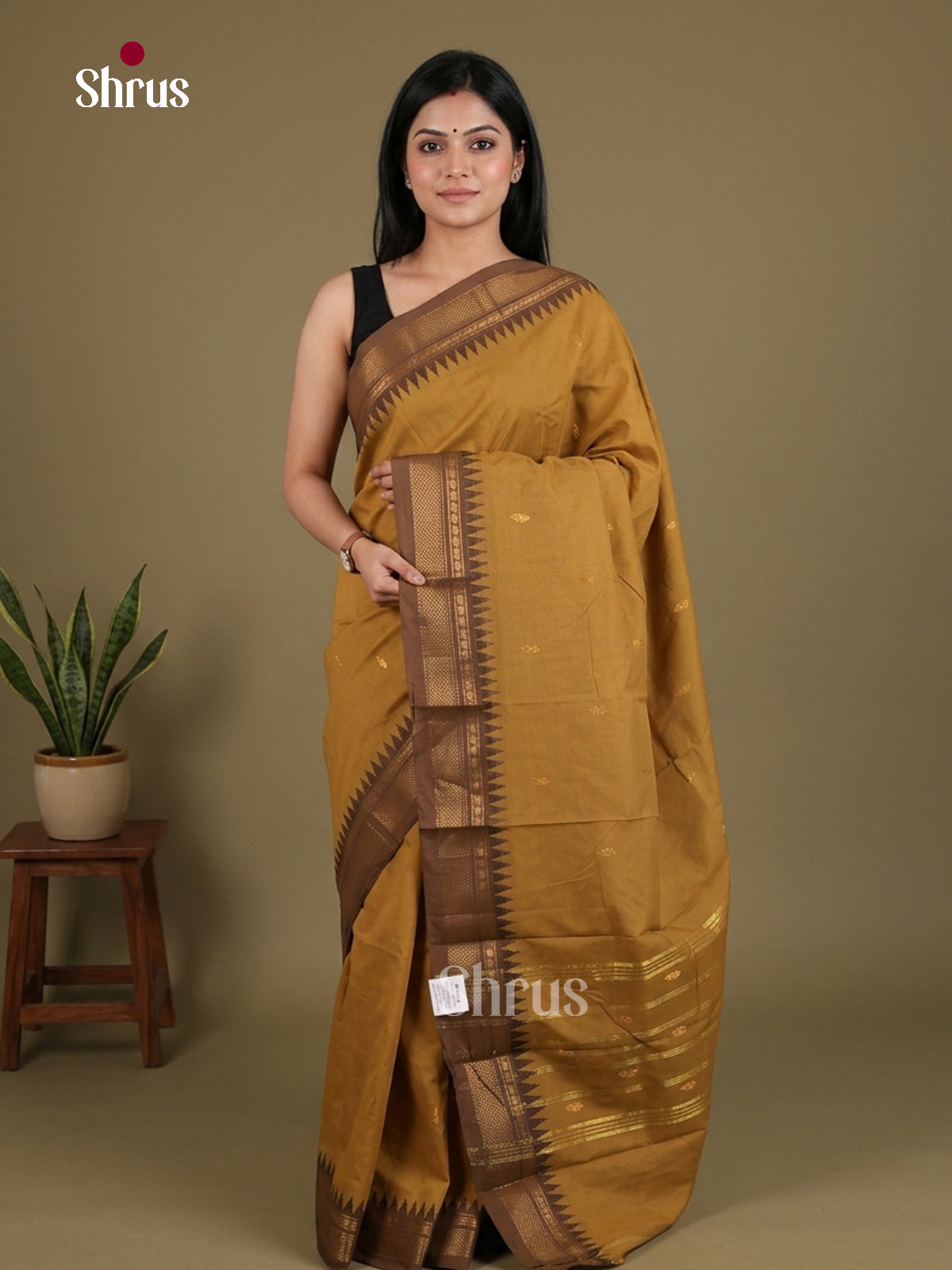Chettinad Mix Cotton Saree - EES29581