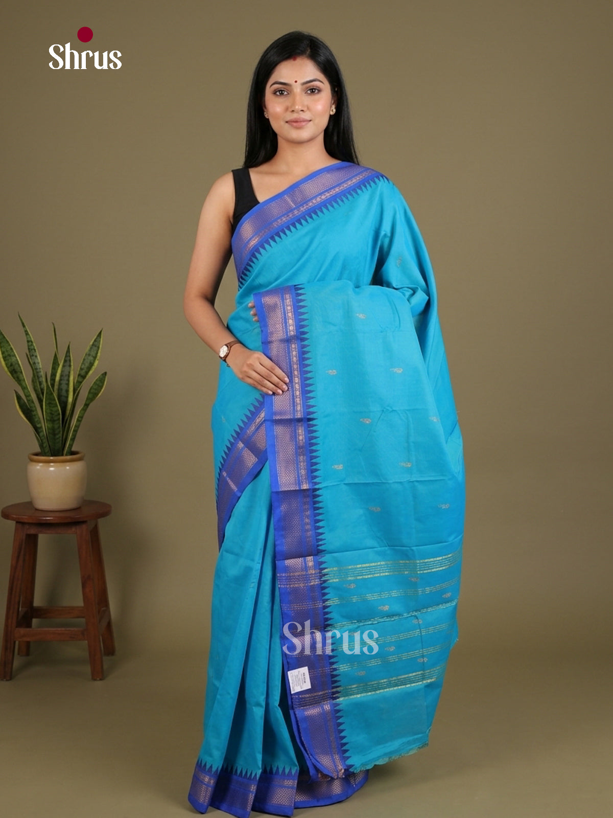 Chettinad Mix Cotton Saree - EES29584