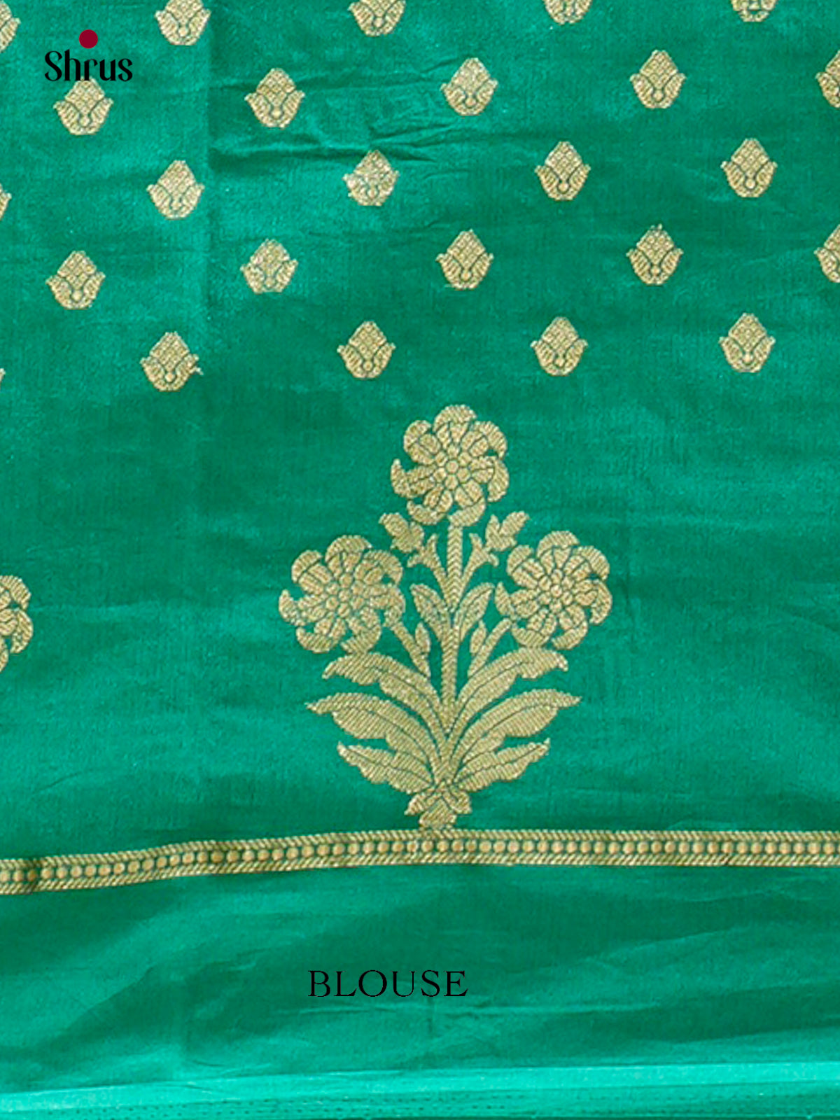 North Silk Cotton Saree - EES30013