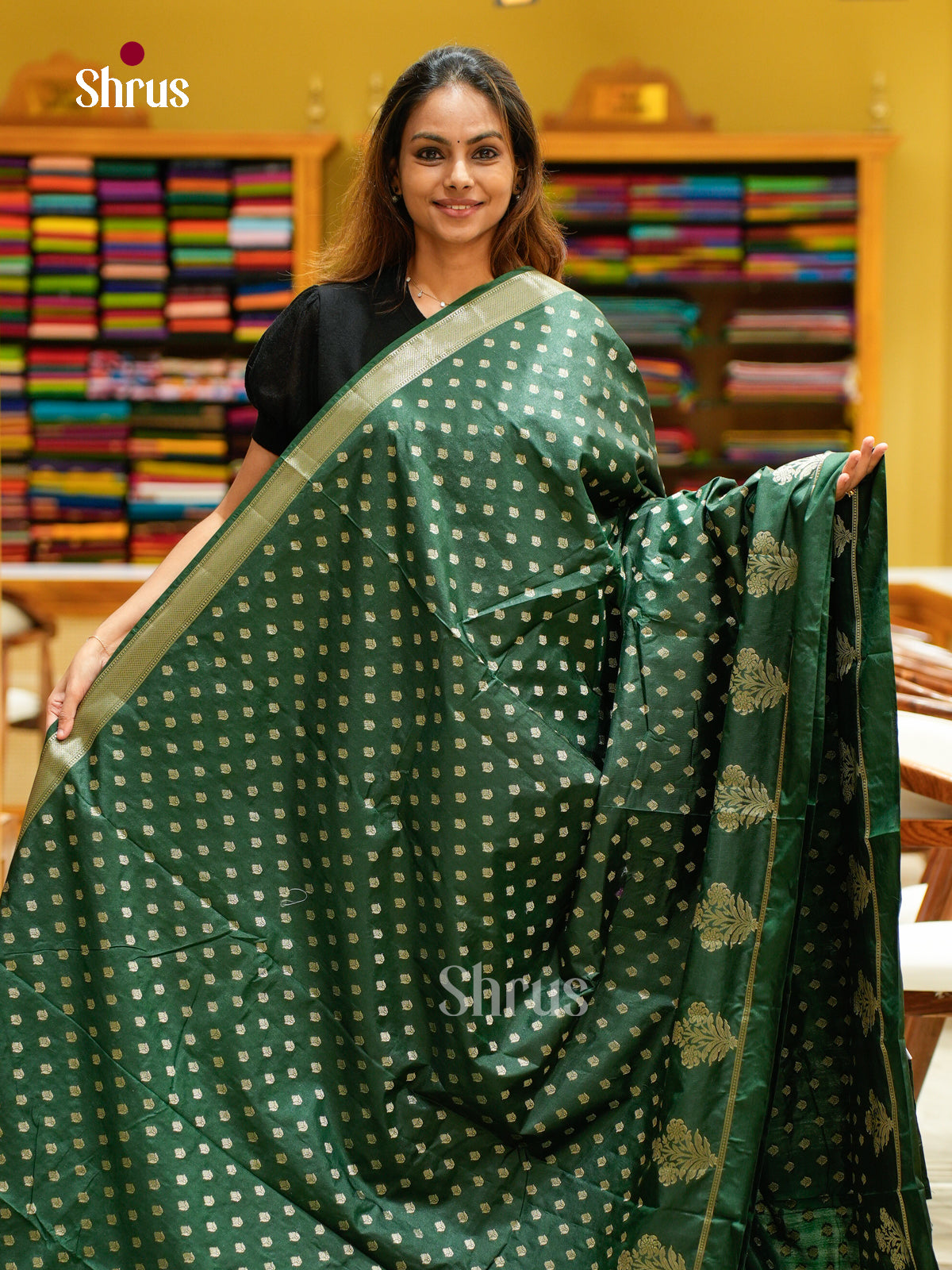 North Silk Cotton Saree - EES30021