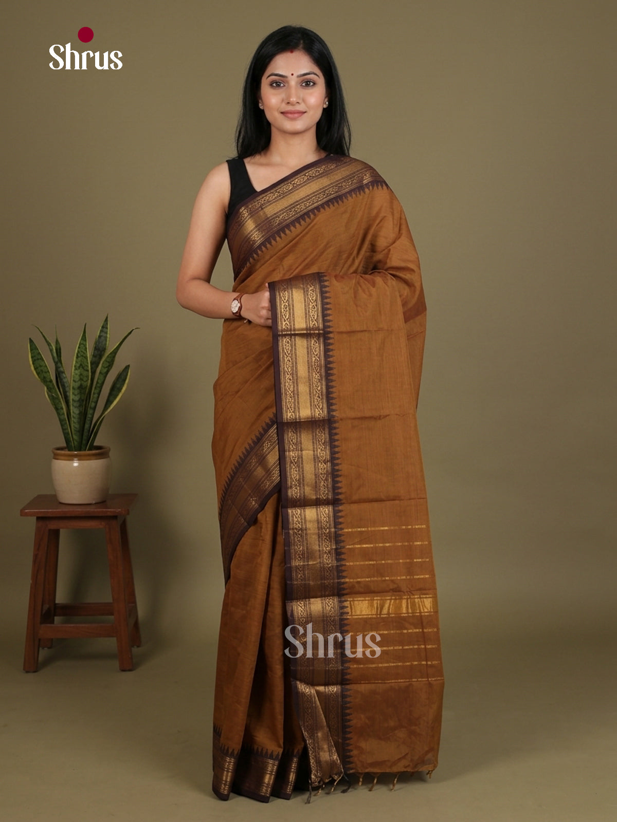 Chettinad Cotton Saree - EES30024