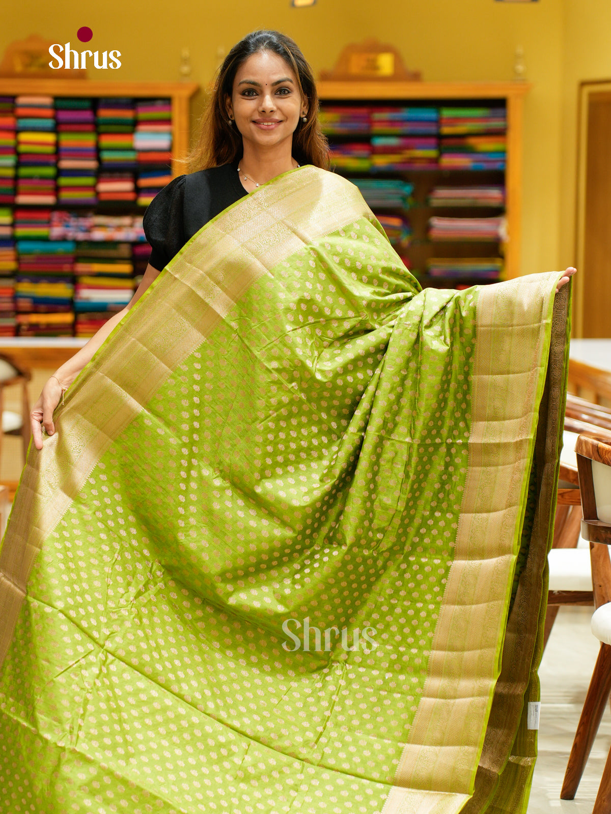 North Silk Cotton Saree - EES30041