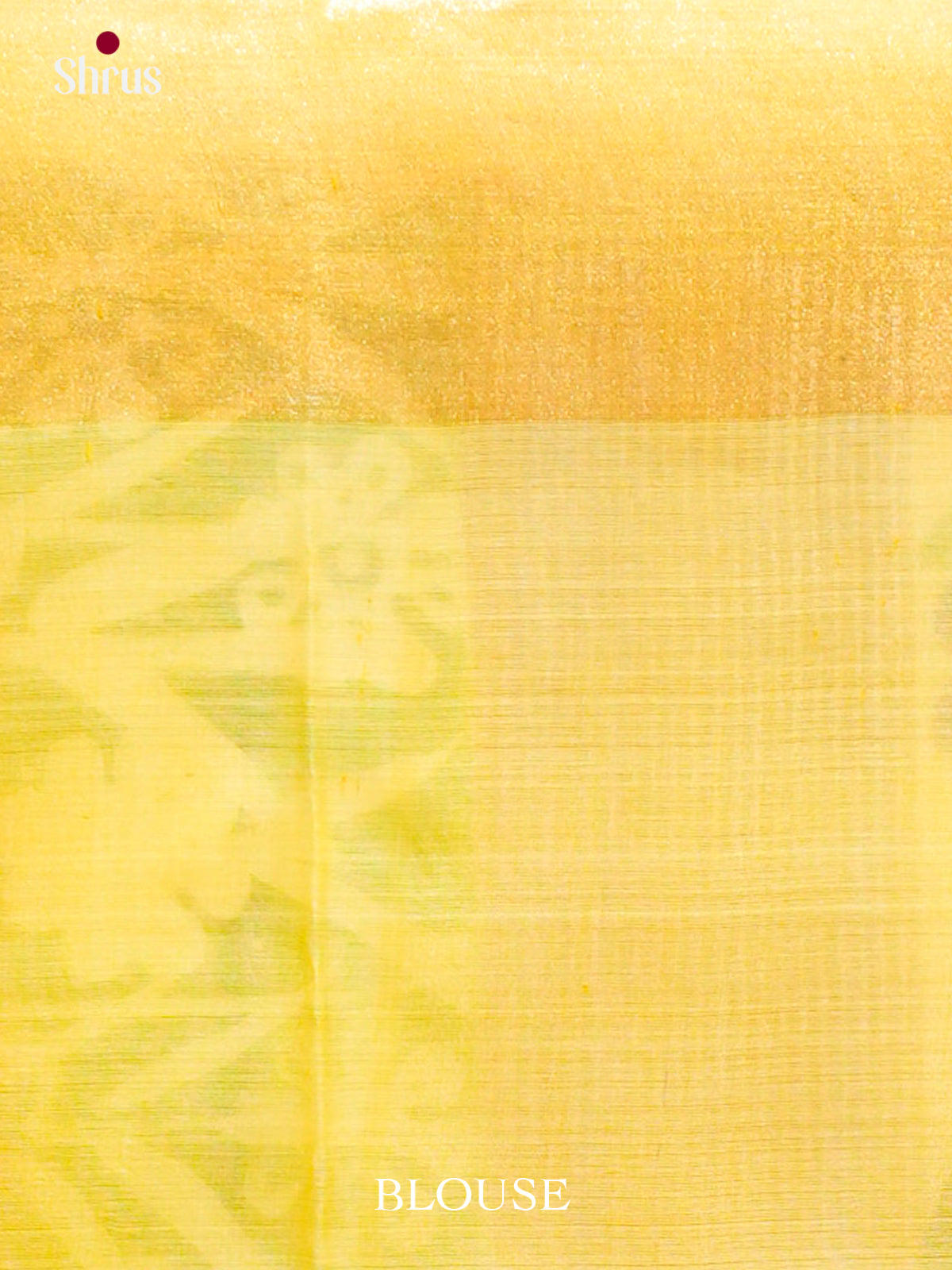 Tussar Saree - EES30194 - Shop on Shrus.com