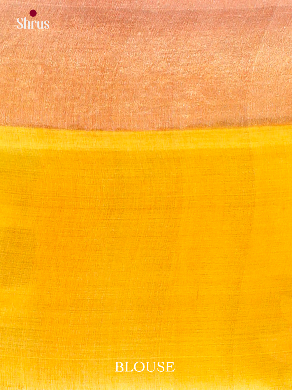 Tussar Saree - EES30197 - Shop on Shrus.com