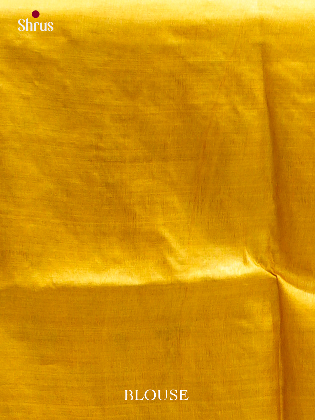 Tussar Saree - EES30265 - Shop on Shrus.com