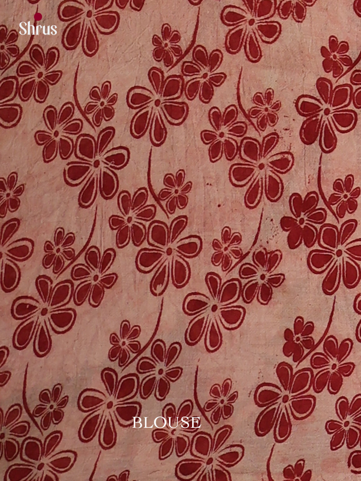 kalamkari-cotton Saree - EES30453