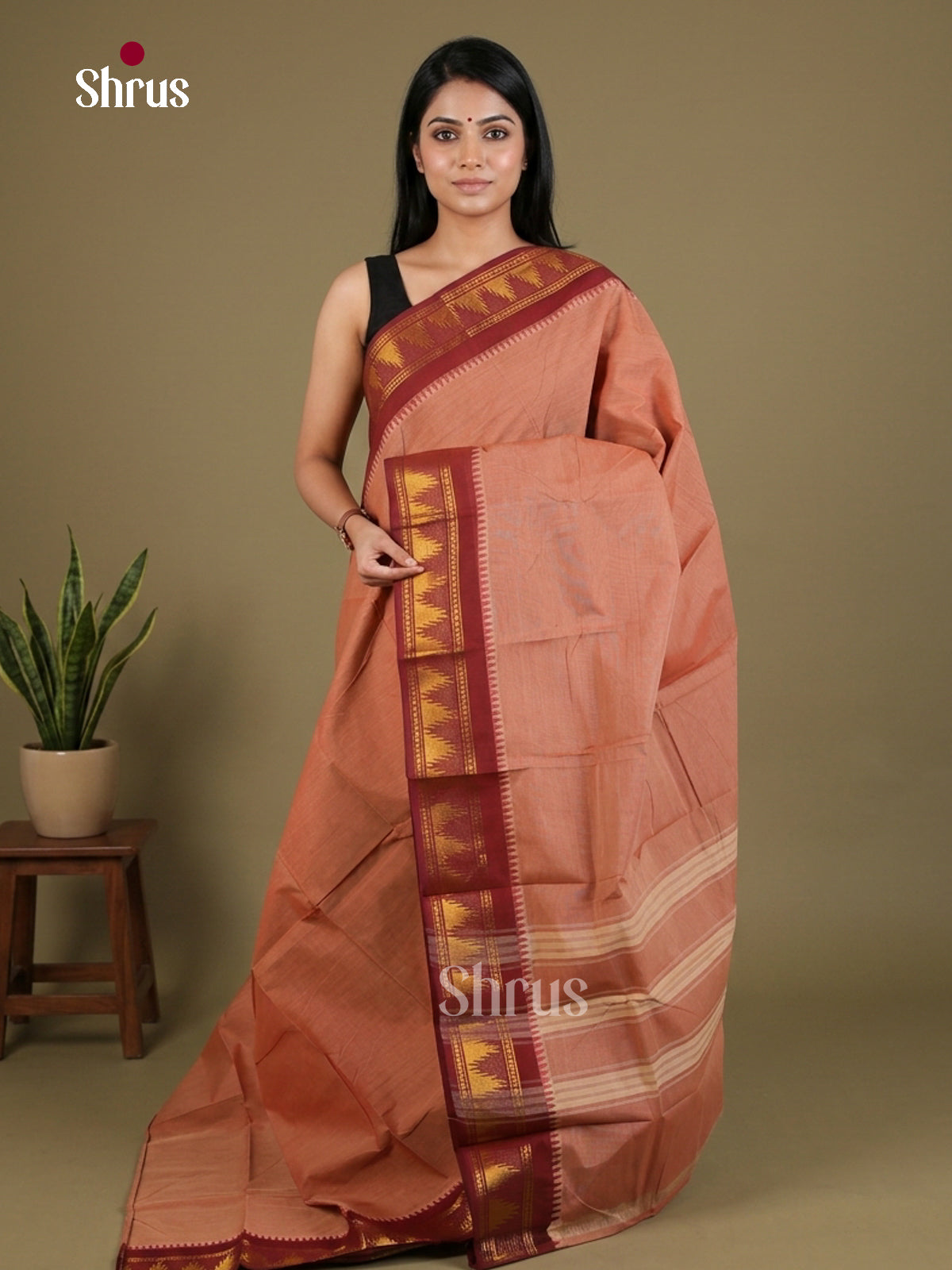 Chettinad Cotton Saree - EFS01020