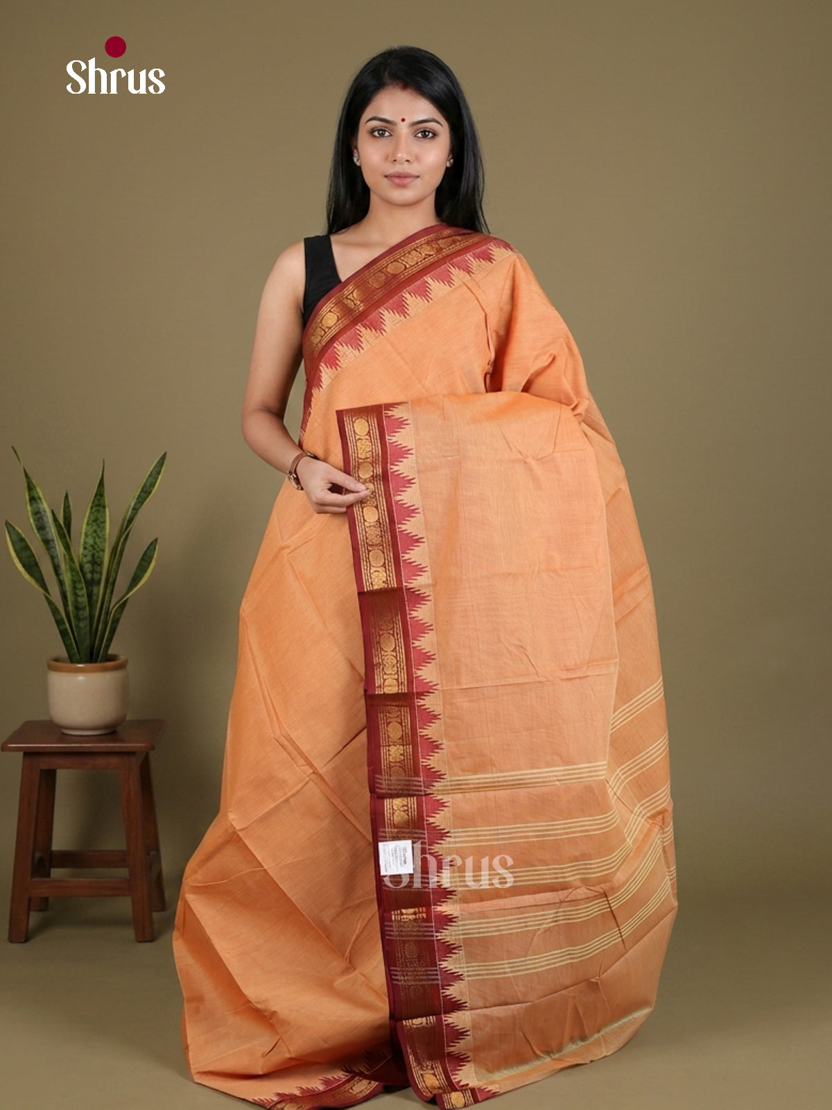 Chettinad Cotton Saree - EFS01025