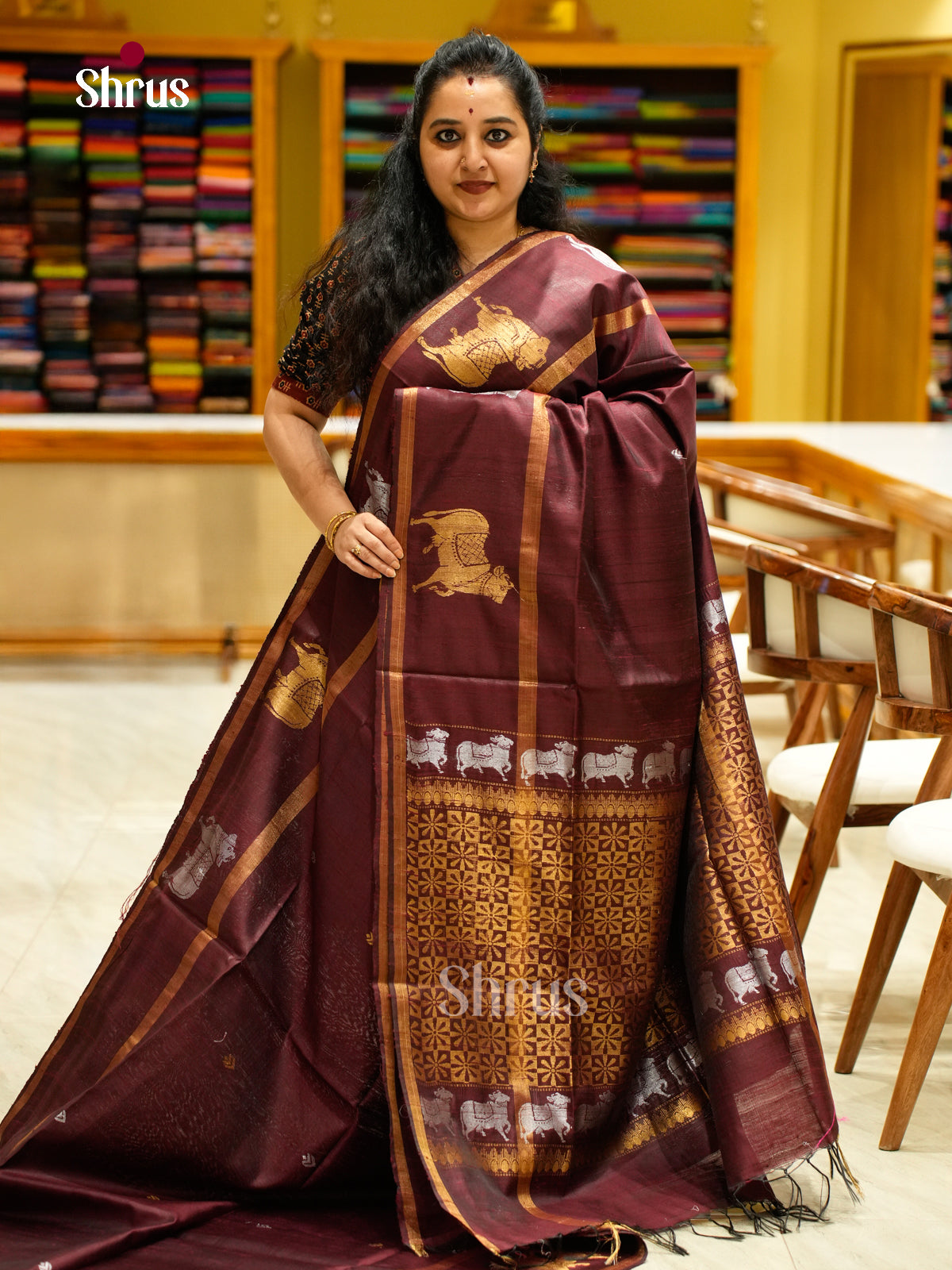 Raw Silk Saree - EFS01108