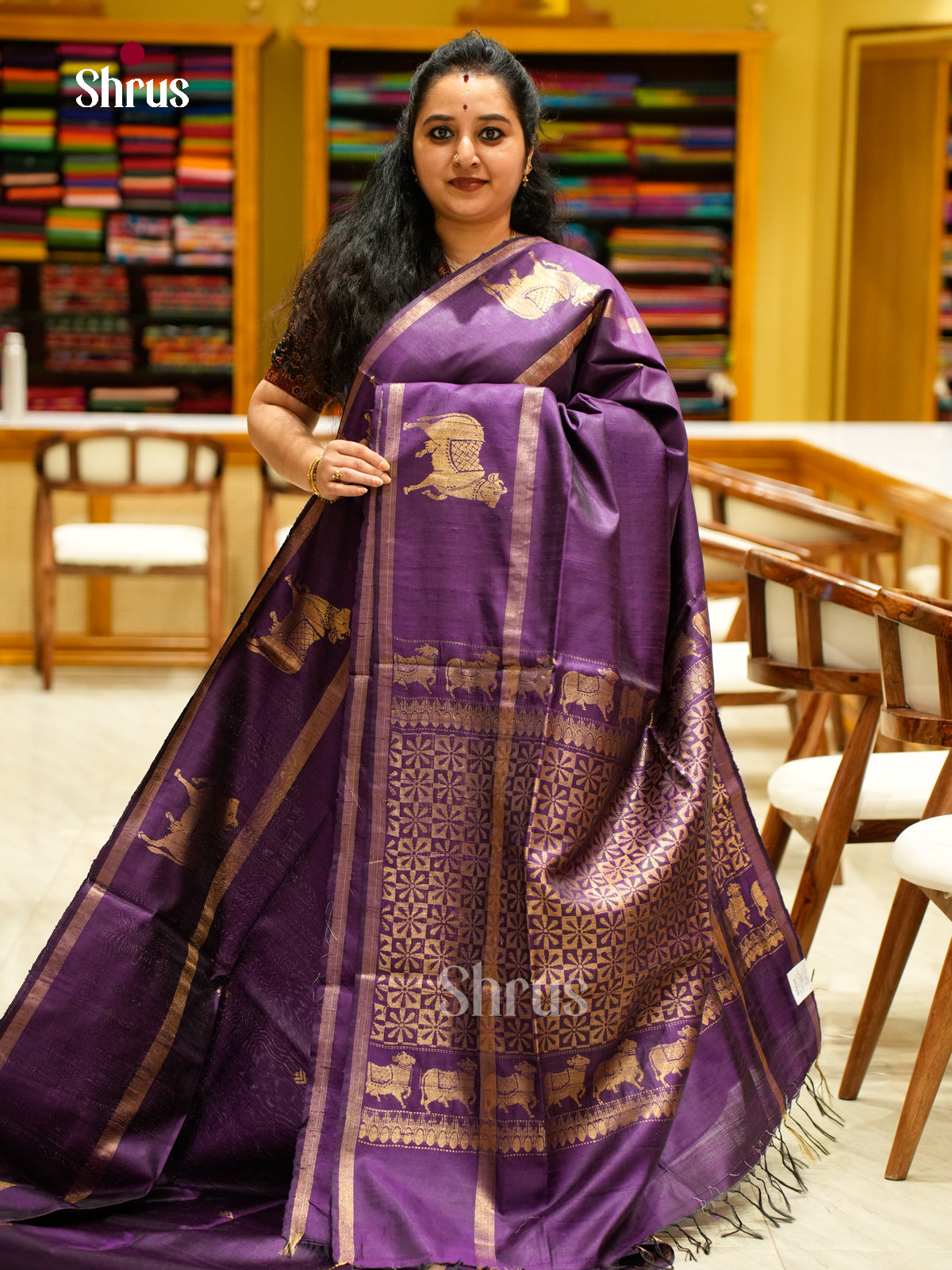 Raw Silk Saree - EFS01109