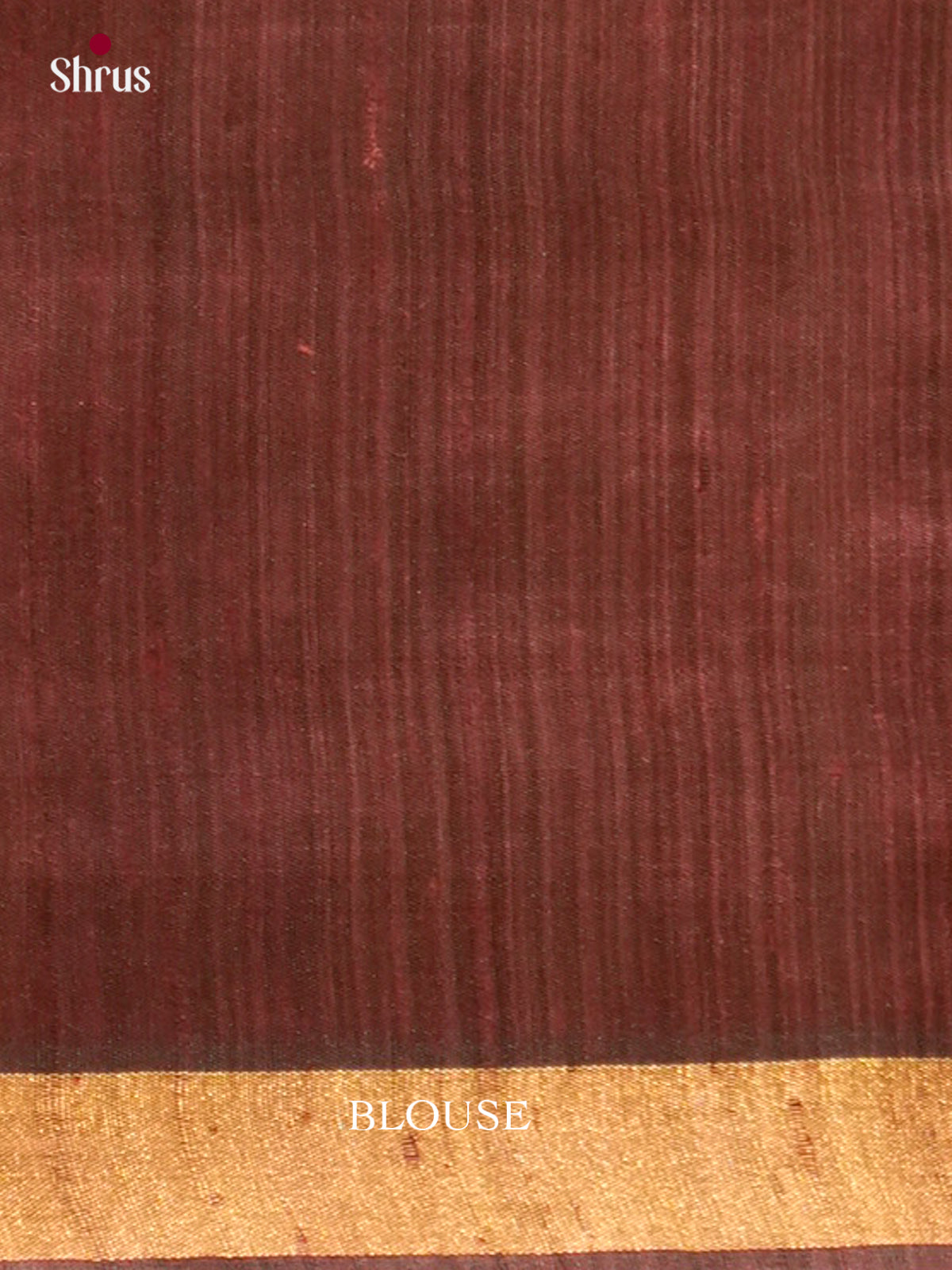 Raw Silk Saree - EFS01152