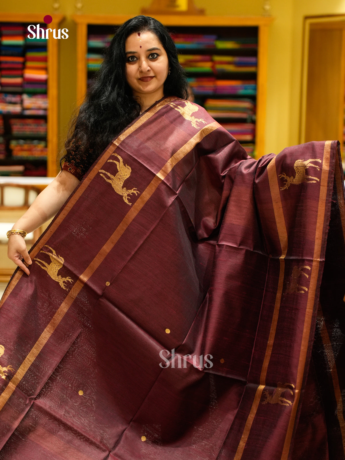 Raw Silk Saree - EFS01160