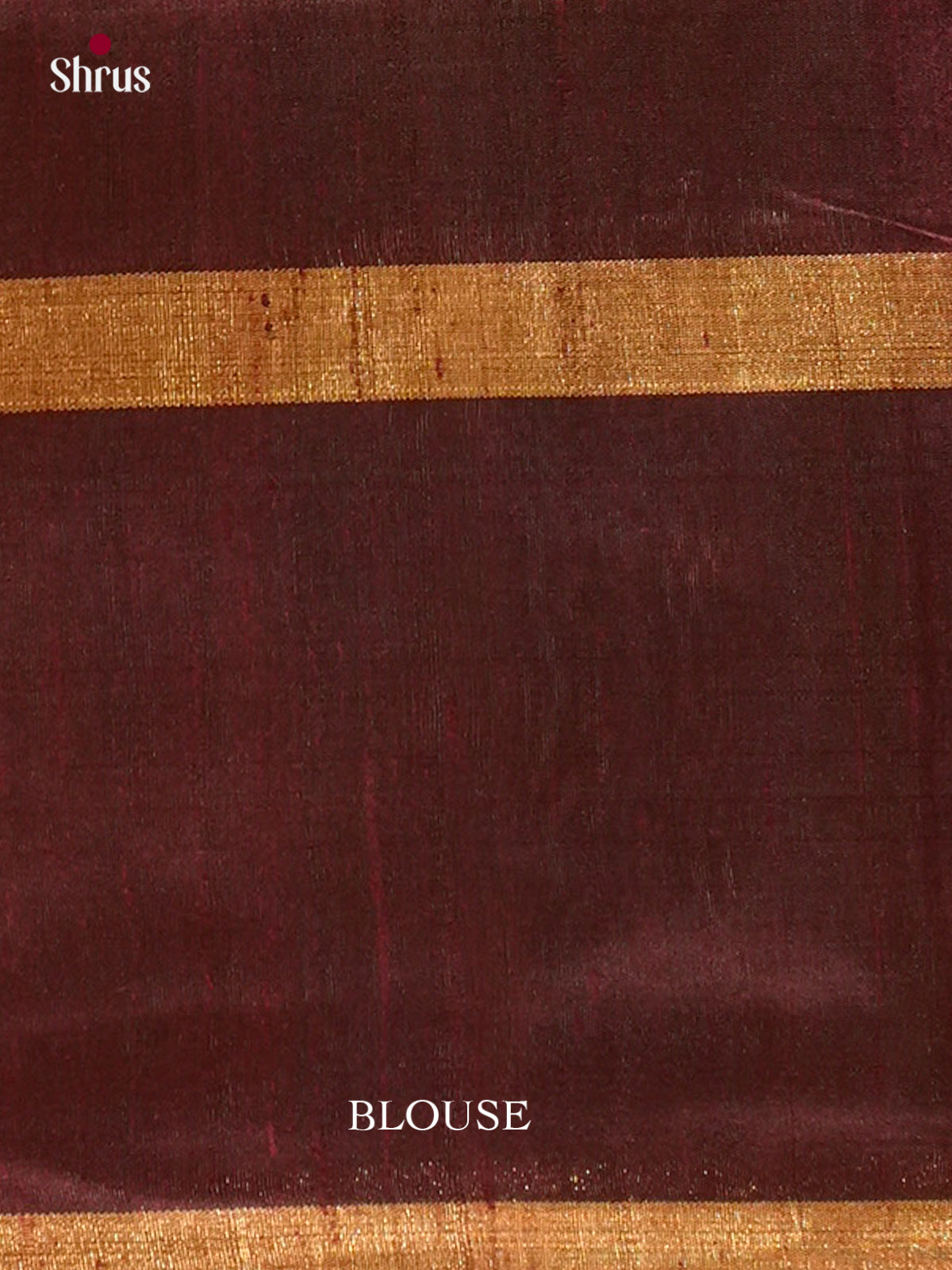 Raw Silk Saree - EFS01160