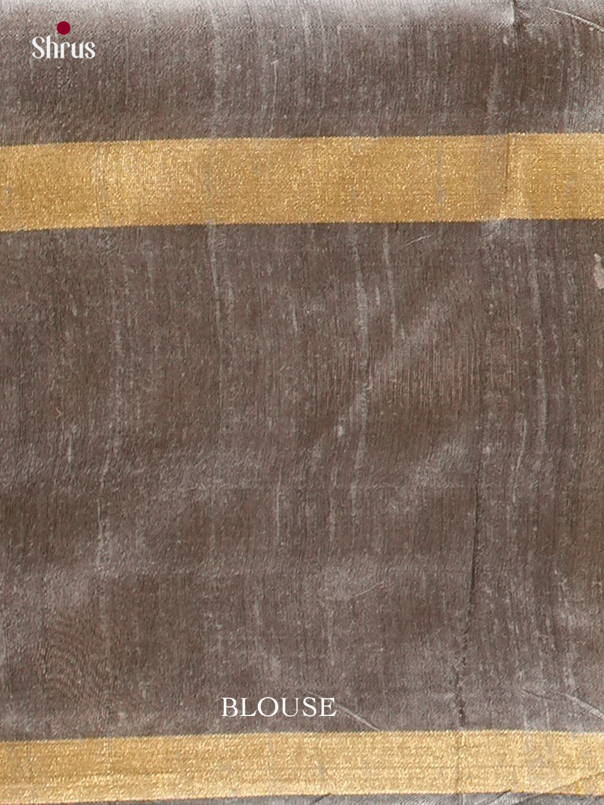 Raw Silk Saree - EFS01163