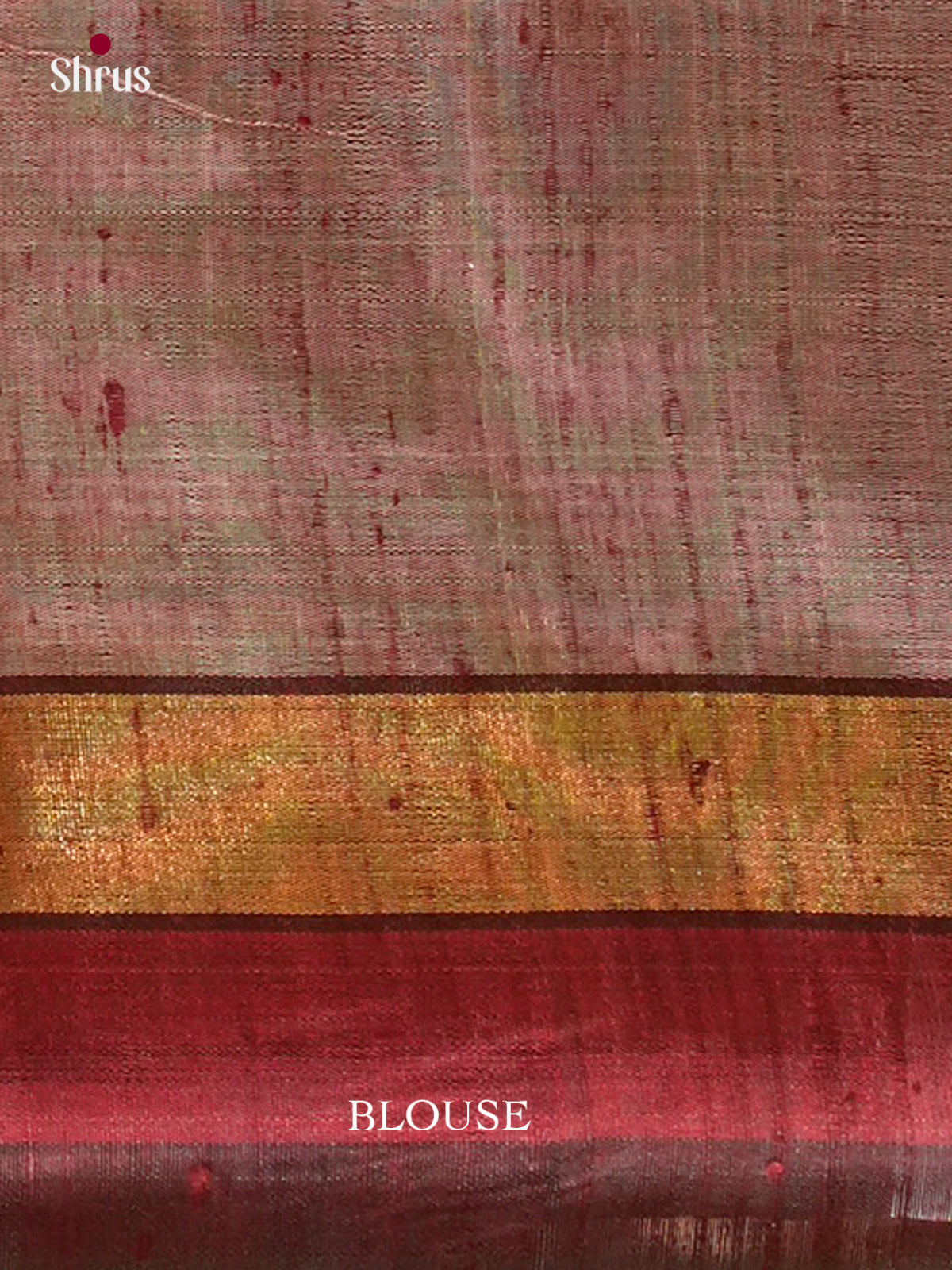 Raw Silk Saree - EFS01169