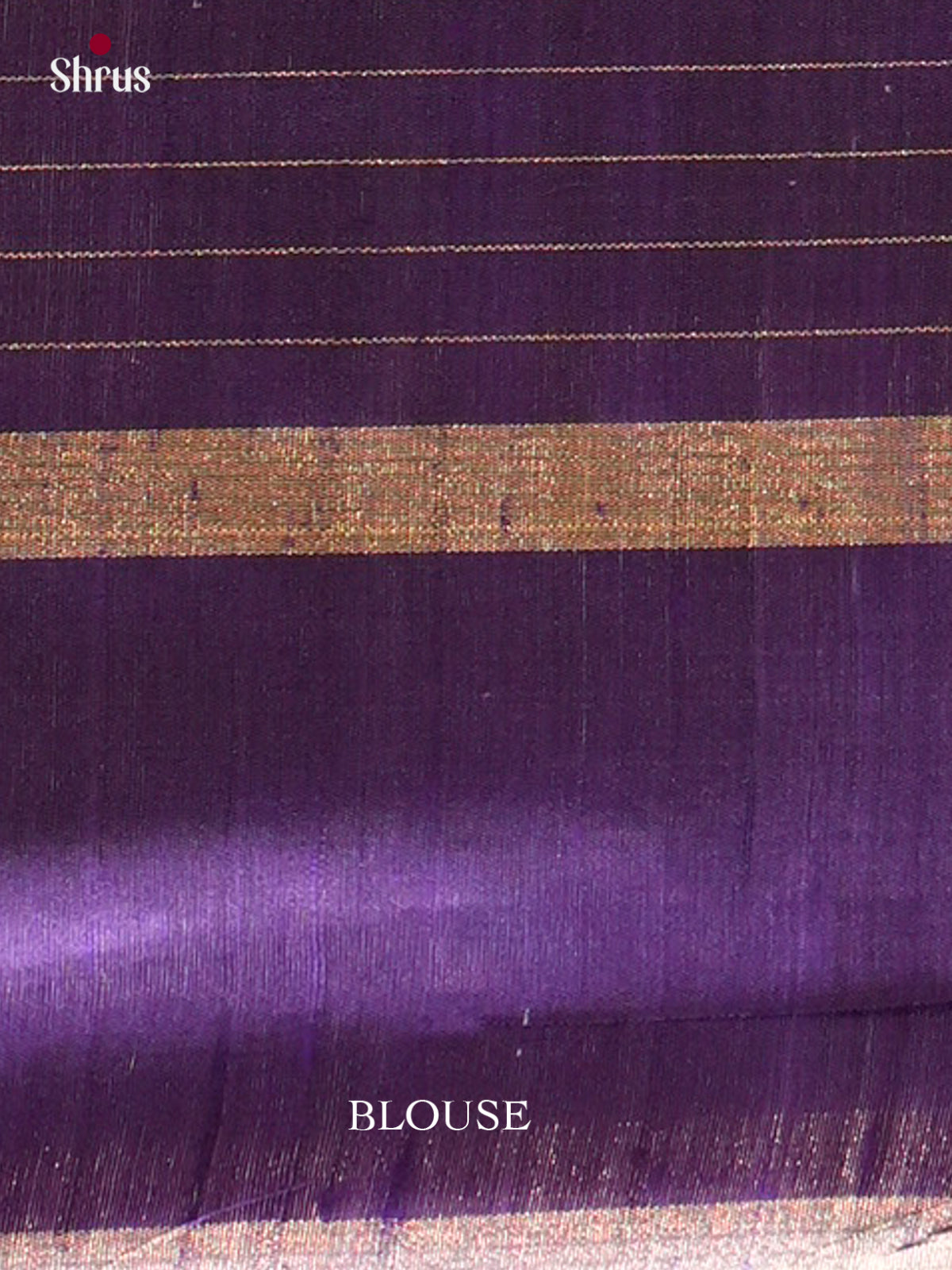 Raw Silk Saree - EFS01173