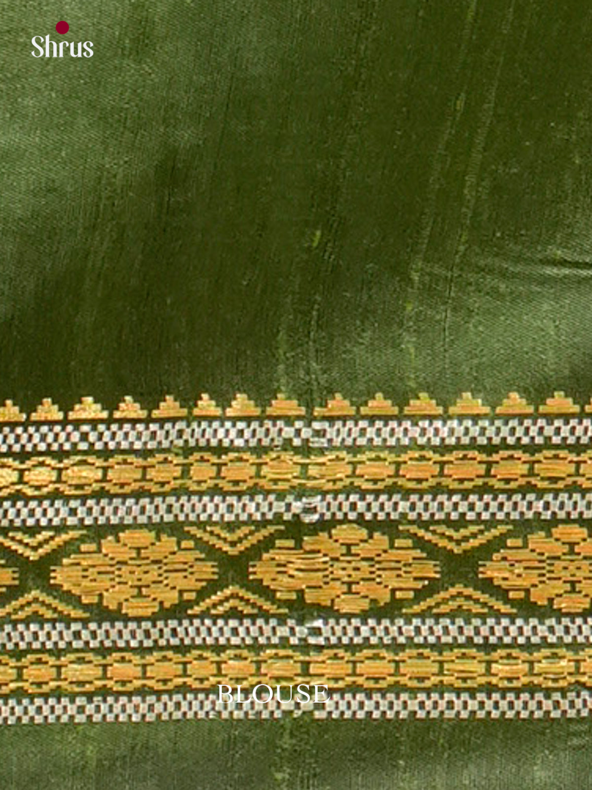 Raw Silk Saree - EFS01183