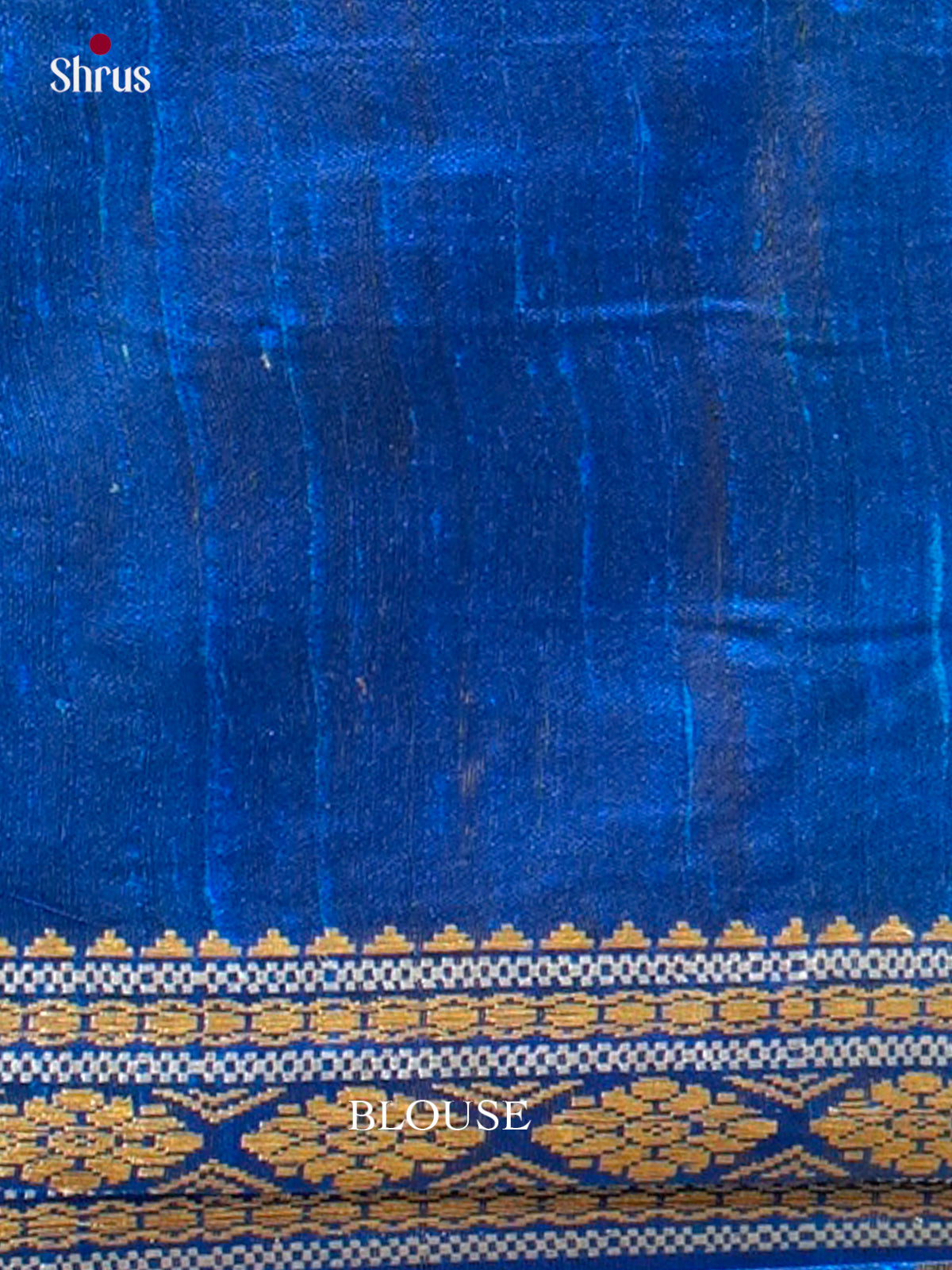 Raw Silk Saree - EFS01187
