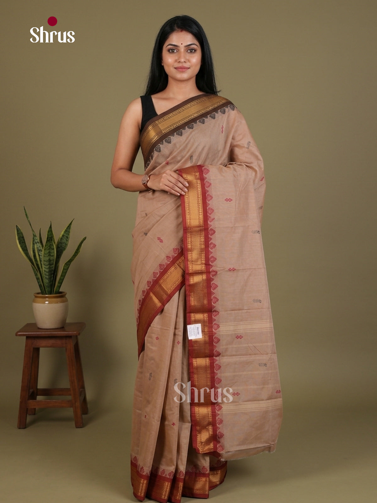 Chettinad Mix Cotton Saree - EFS01353