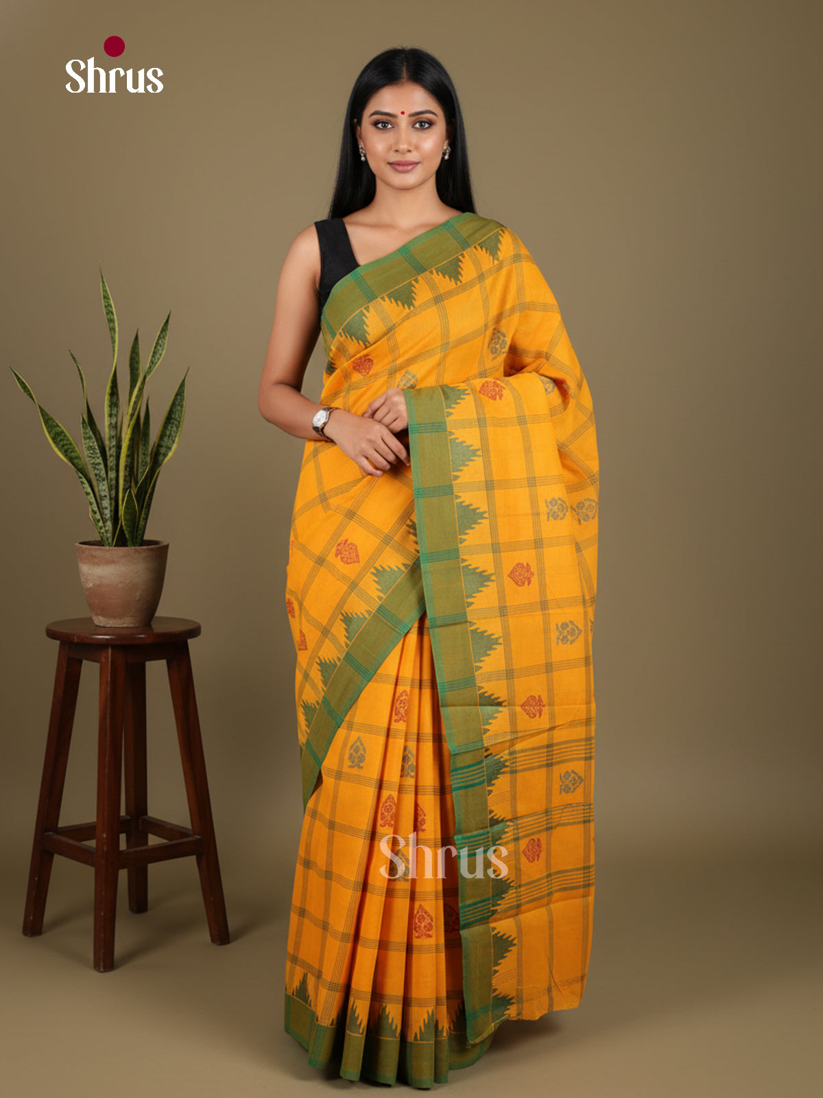 Chettinad Cotton Saree - EFS01383