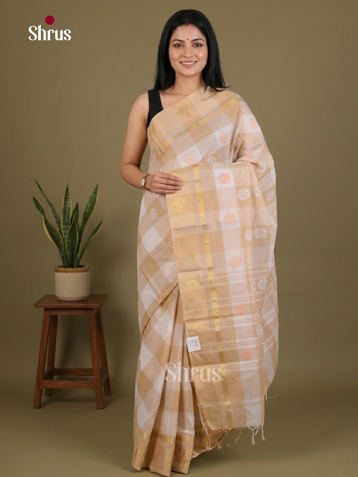 Chettinad Cotton Saree - EFS01408