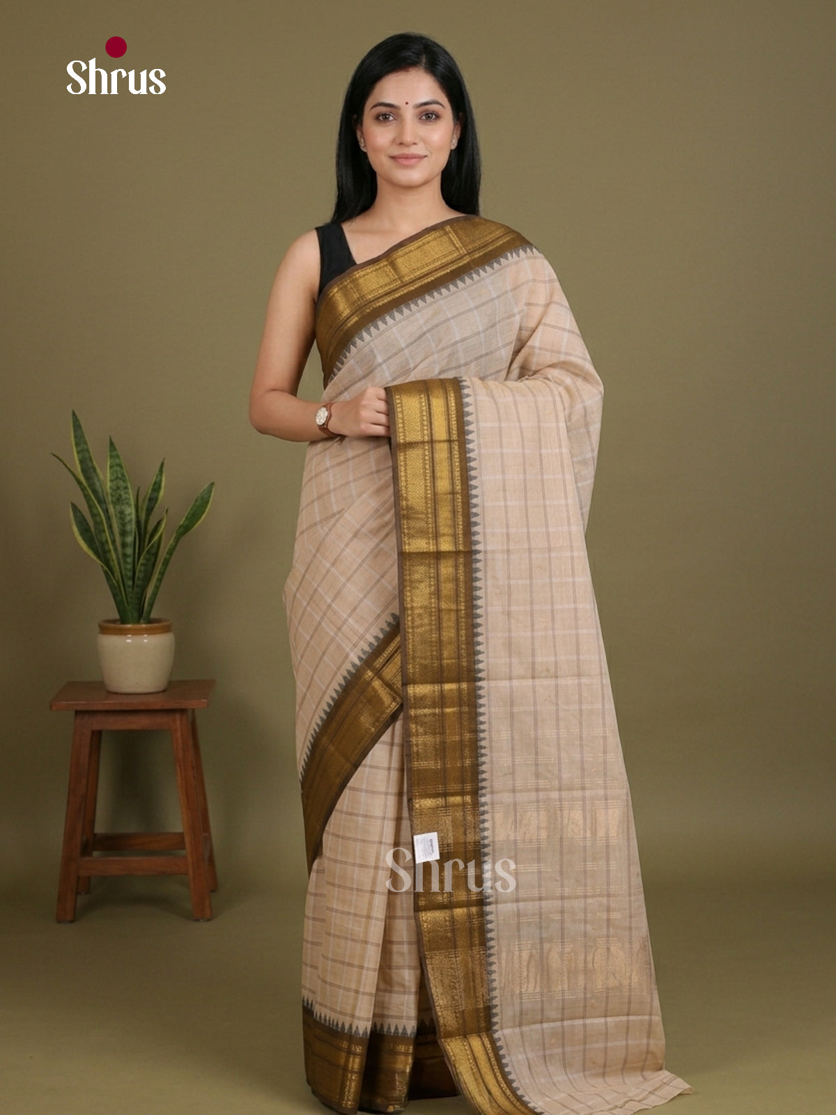 Chettinad Cotton Saree - EFS01417