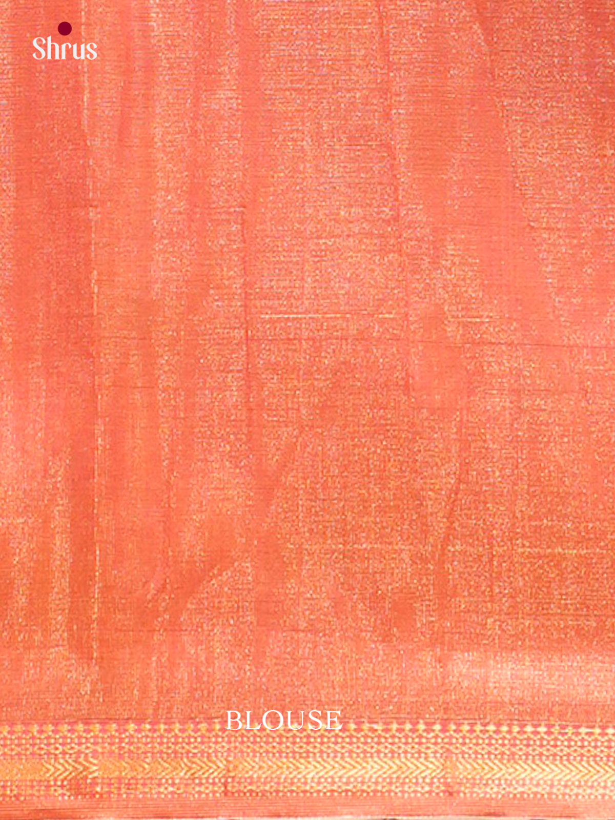 Maheshwari silkcotton Saree - EFS05157 - Shop on Shrus.com