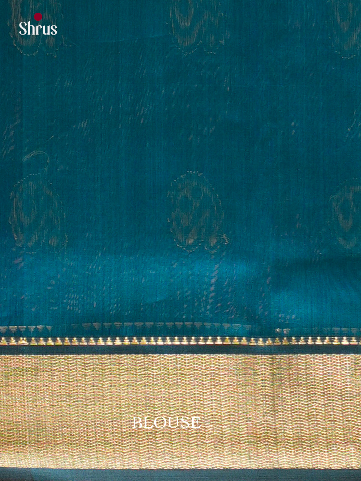 Maheshwari silkcotton Saree - EFS05164