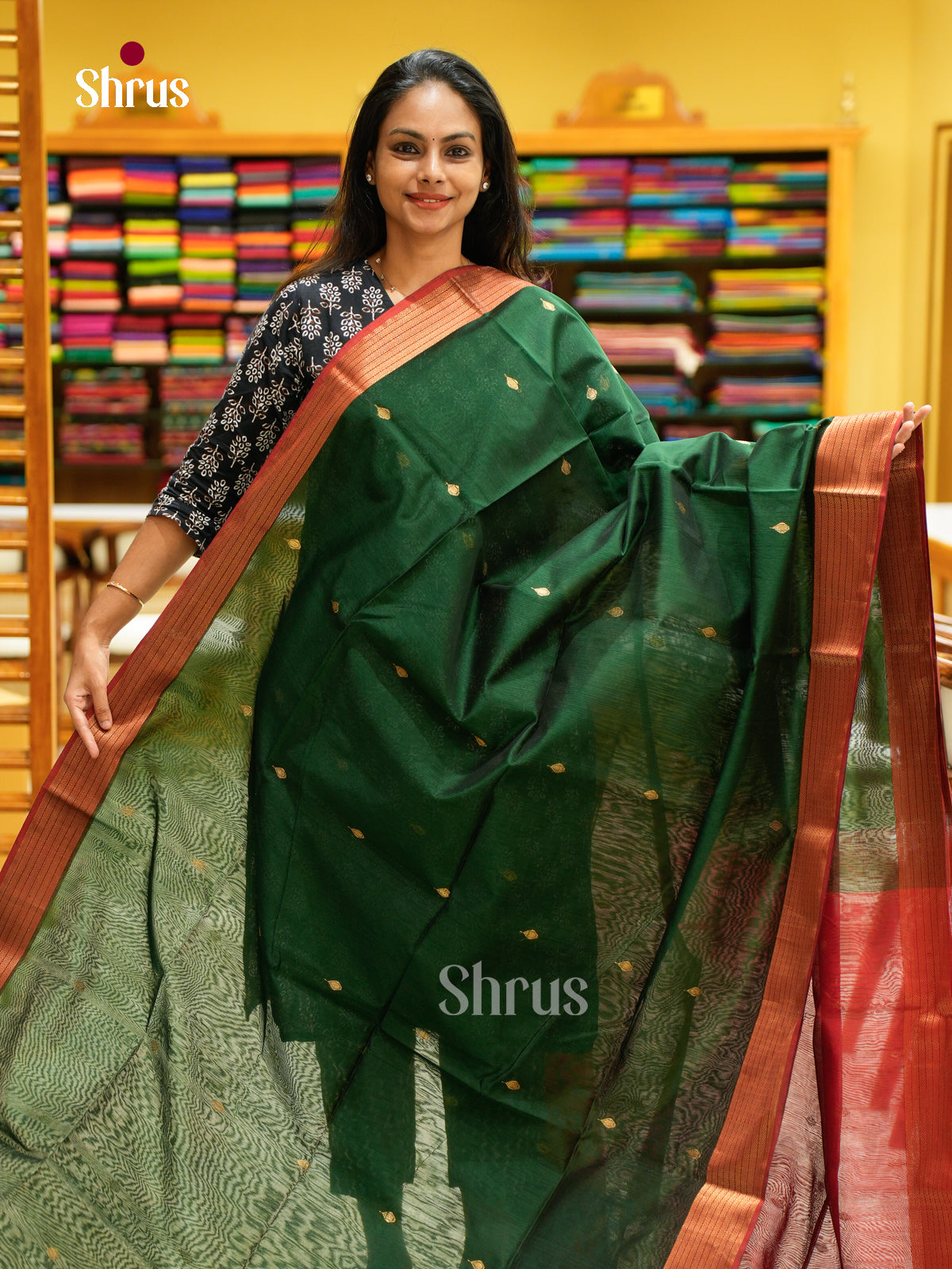 Maheshwari silkcotton Saree - EFS05228 - Shop on Shrus.com