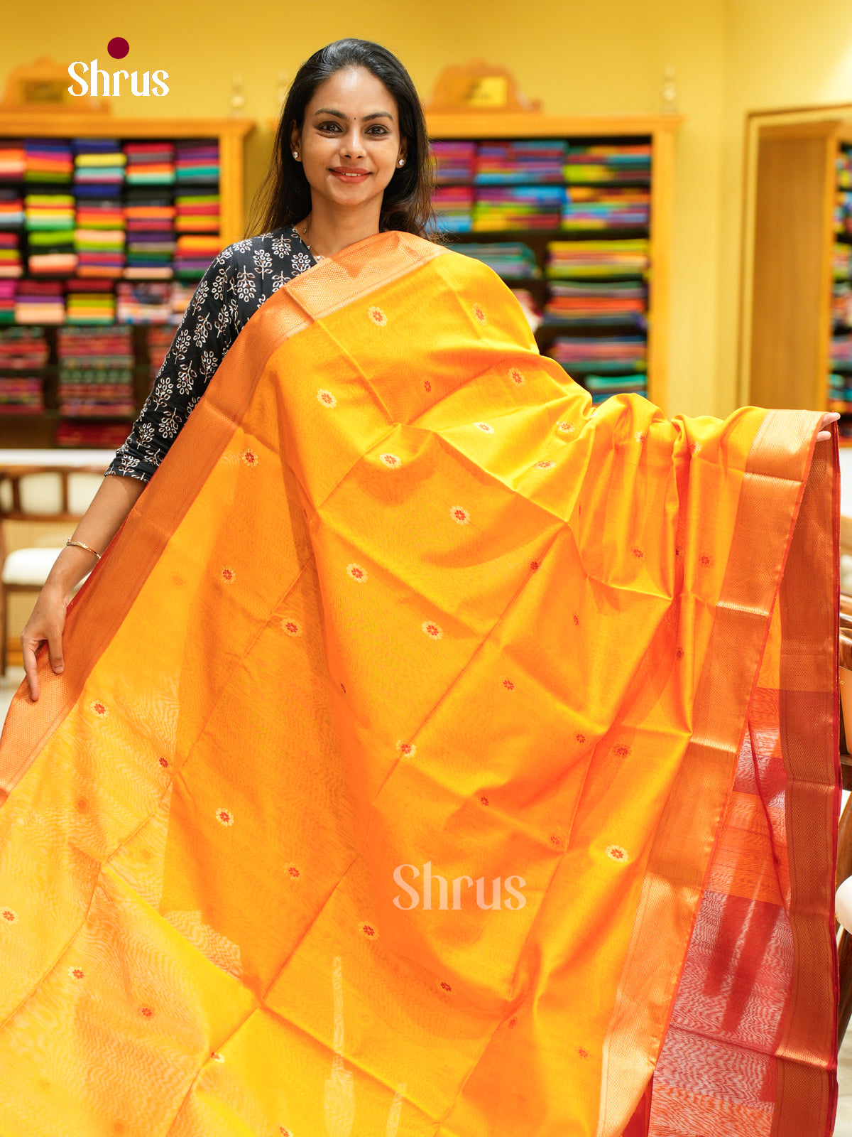Maheshwari silkcotton Saree - EFS05249 - Shop on Shrus.com