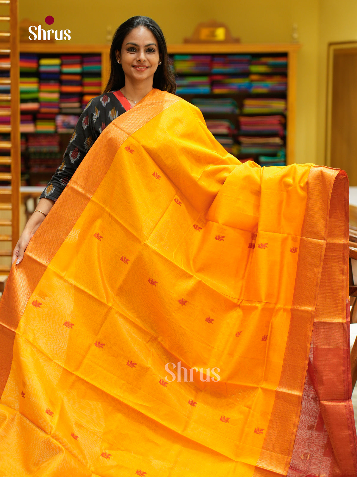 Maheshwari silkcotton Saree - EFS05256 - Shop on Shrus.com