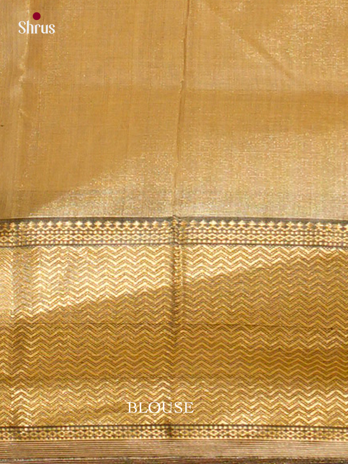 Maheshwari silkcotton Saree - EFS05258 - Shop on Shrus.com