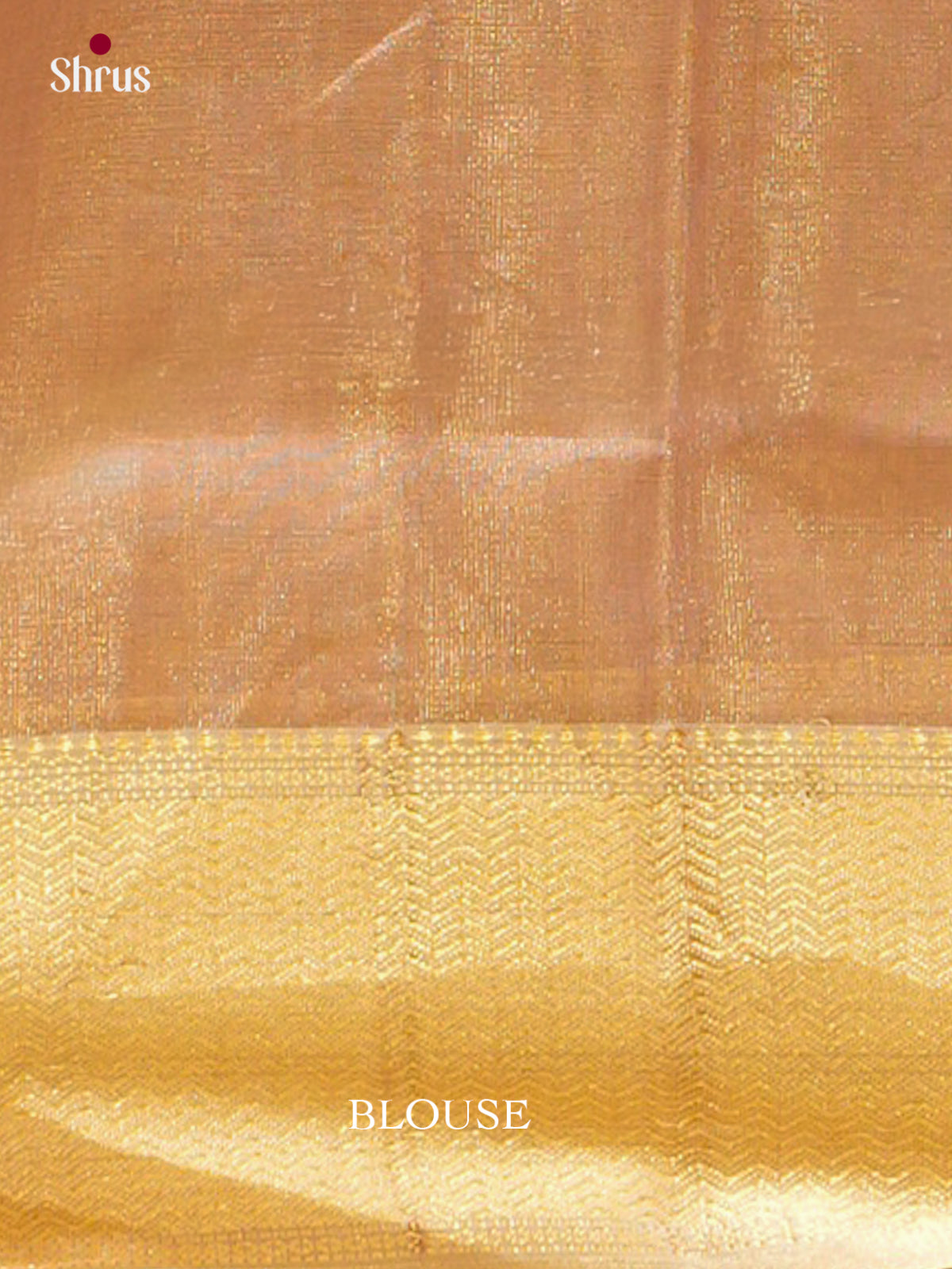 Maheshwari silkcotton Saree - EFS05260 - Shop on Shrus.com
