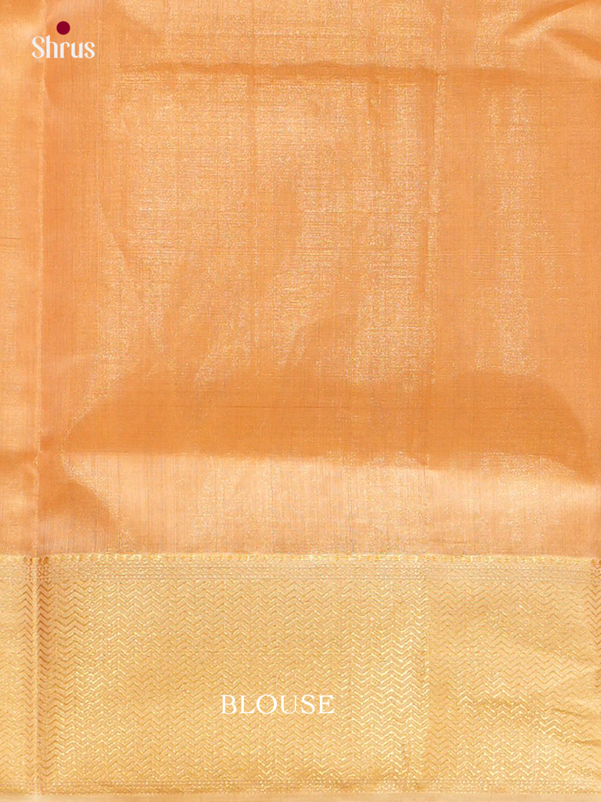 Maheshwari silkcotton Saree - EFS05262 - Shop on Shrus.com