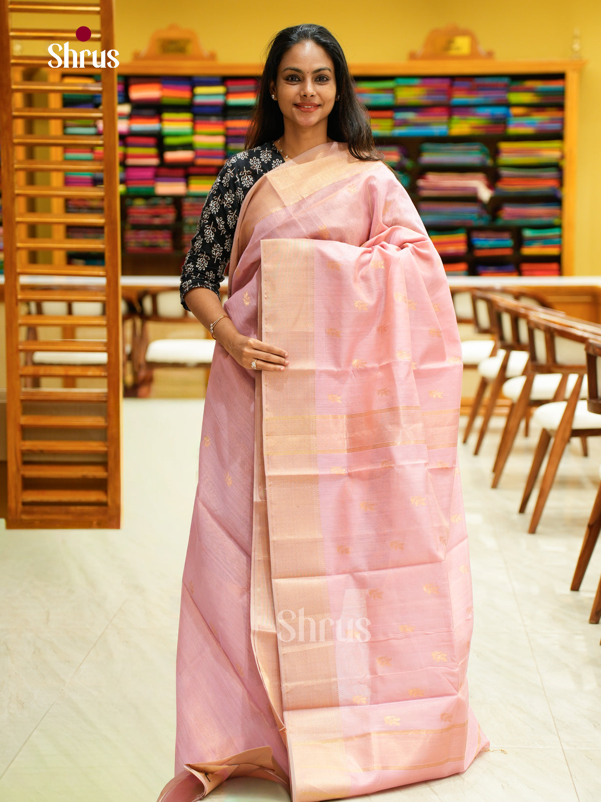 Maheshwari silkcotton Saree - EFS05268 - Shop on Shrus.com