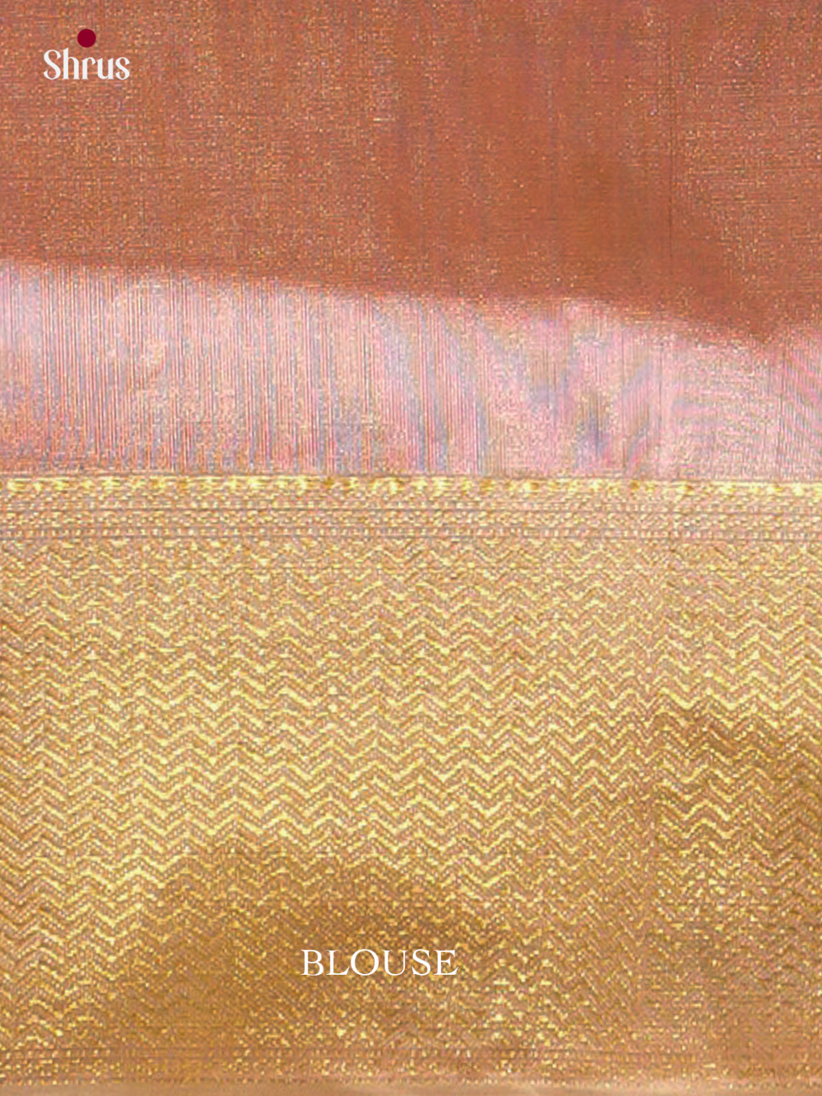 Maheshwari silkcotton Saree - EFS05268 - Shop on Shrus.com