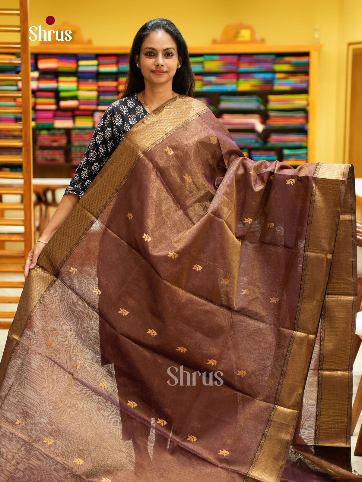 Maheshwari silkcotton Saree - EFS05269 - Shop on Shrus.com