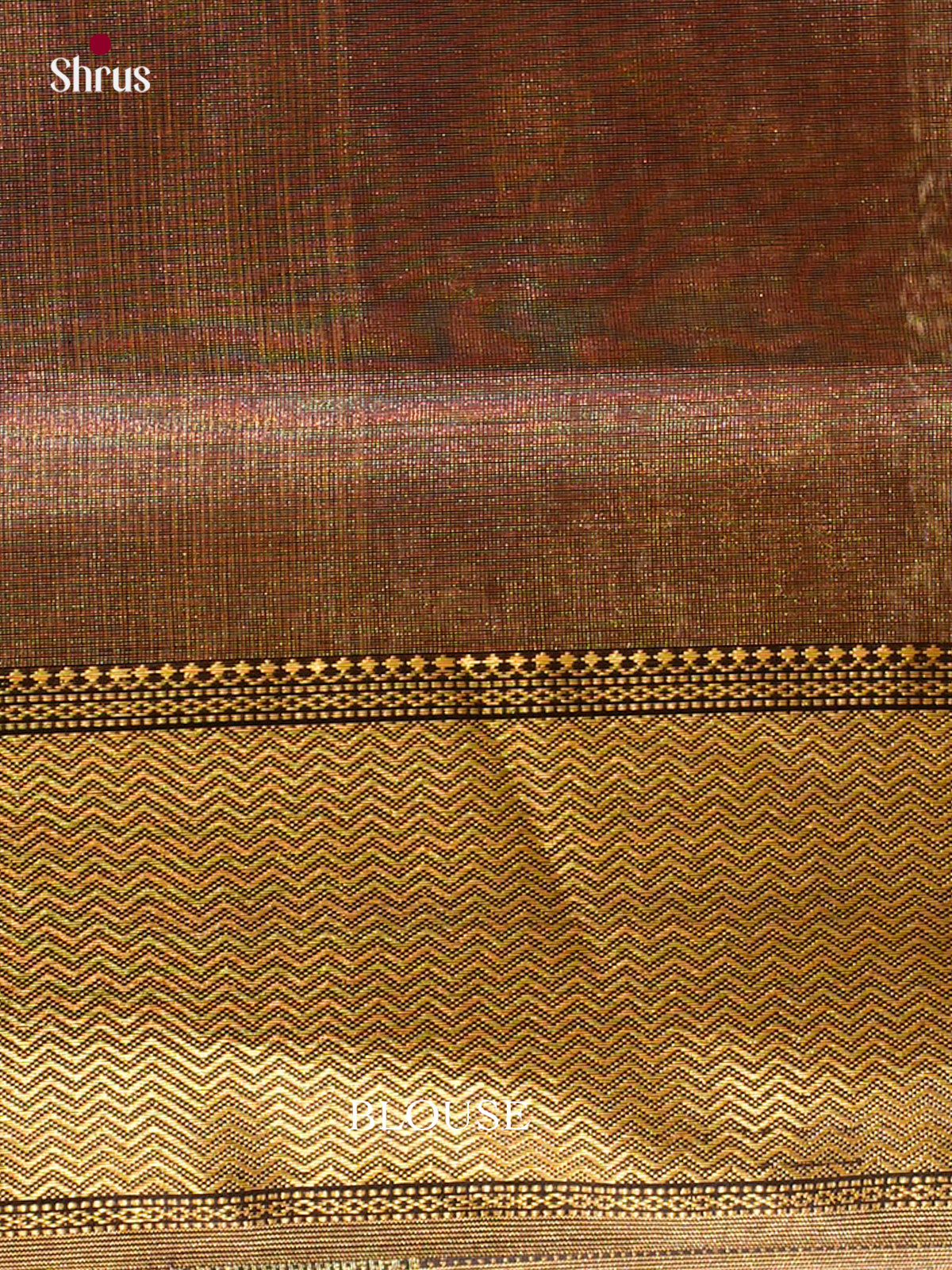 Maheshwari silkcotton Saree - EFS05269 - Shop on Shrus.com