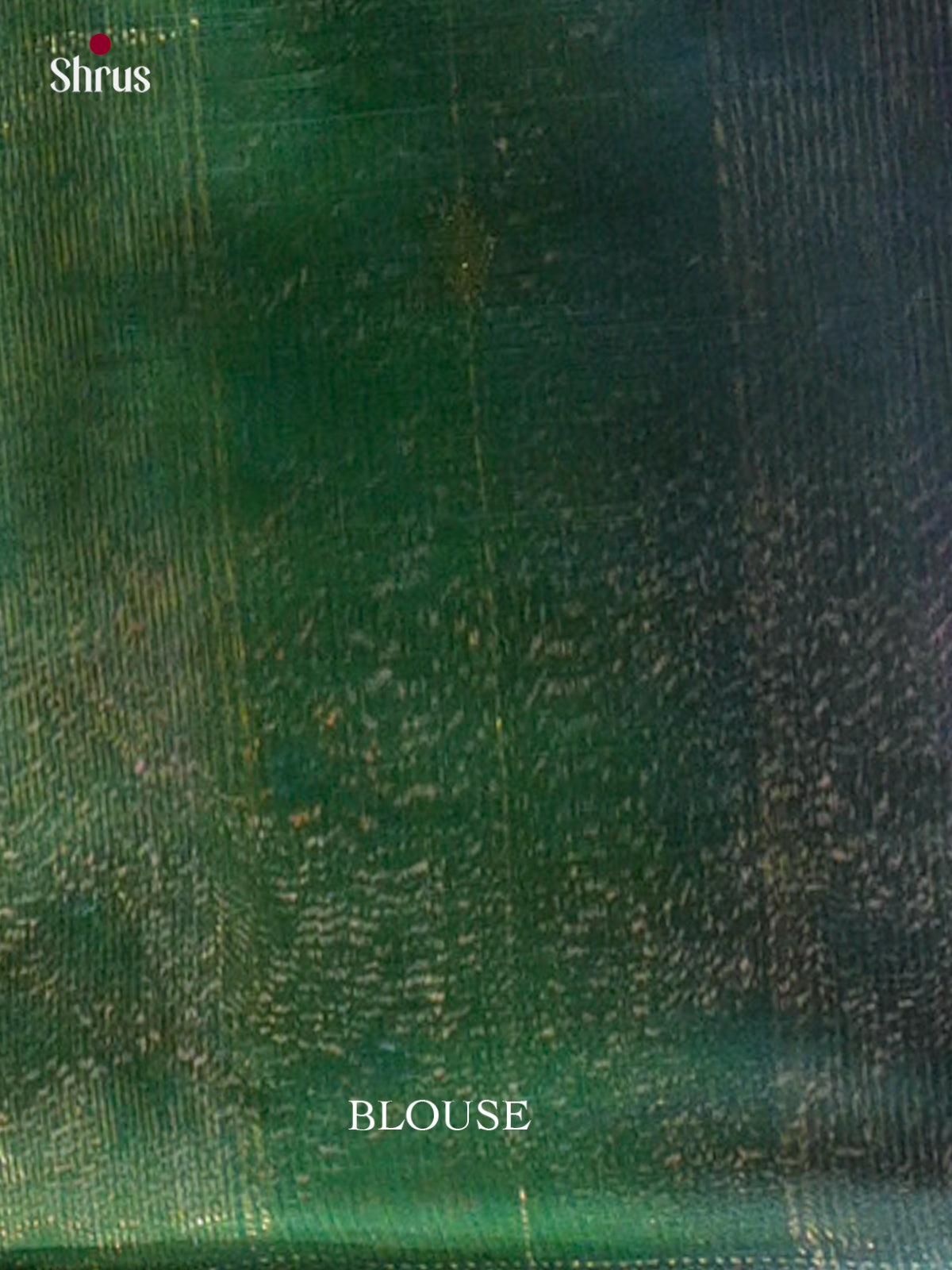 Maheshwari silkcotton Saree - EFS05286 - Shop on Shrus.com