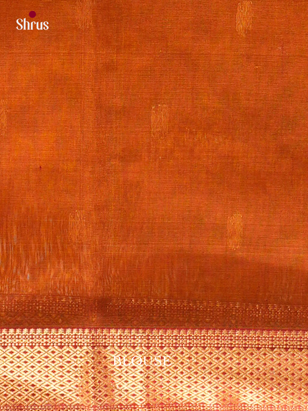 Maheshwari silkcotton Saree - EFS05309