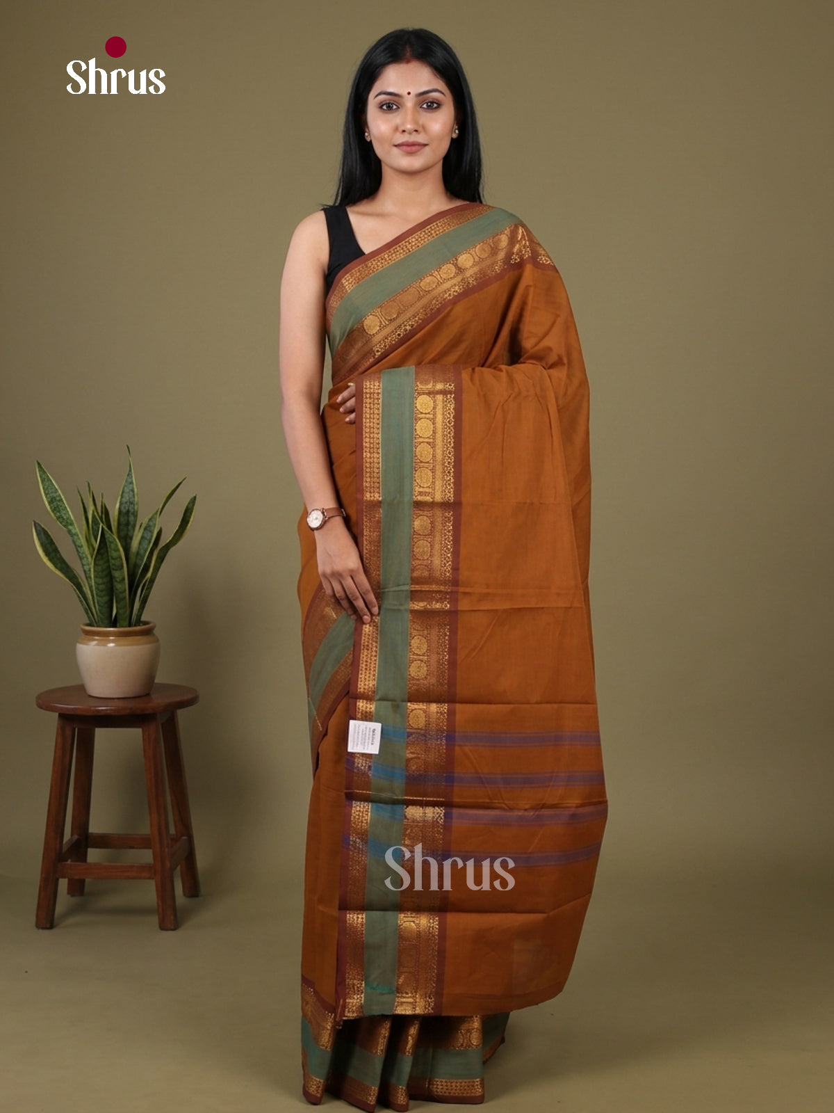 Chettinad Cotton Saree - EFS05455