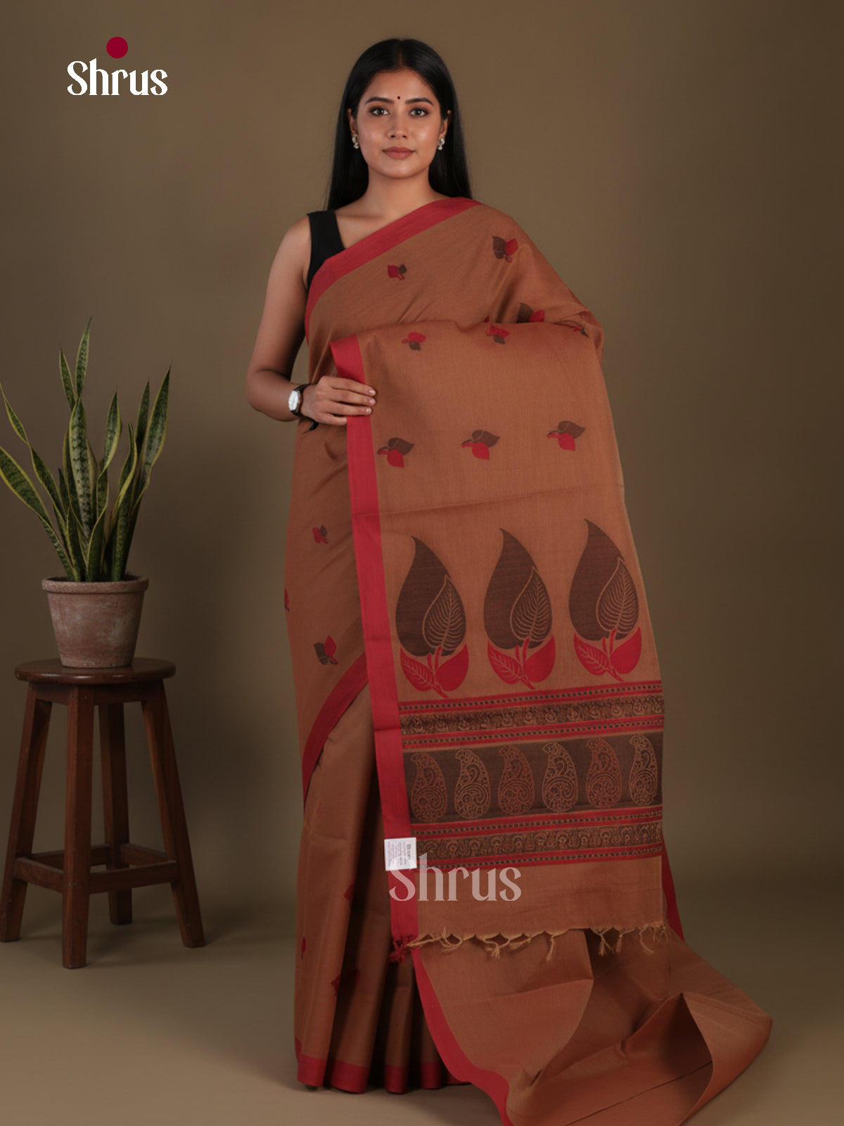 Coimbatore Cotton Saree - EFS06124