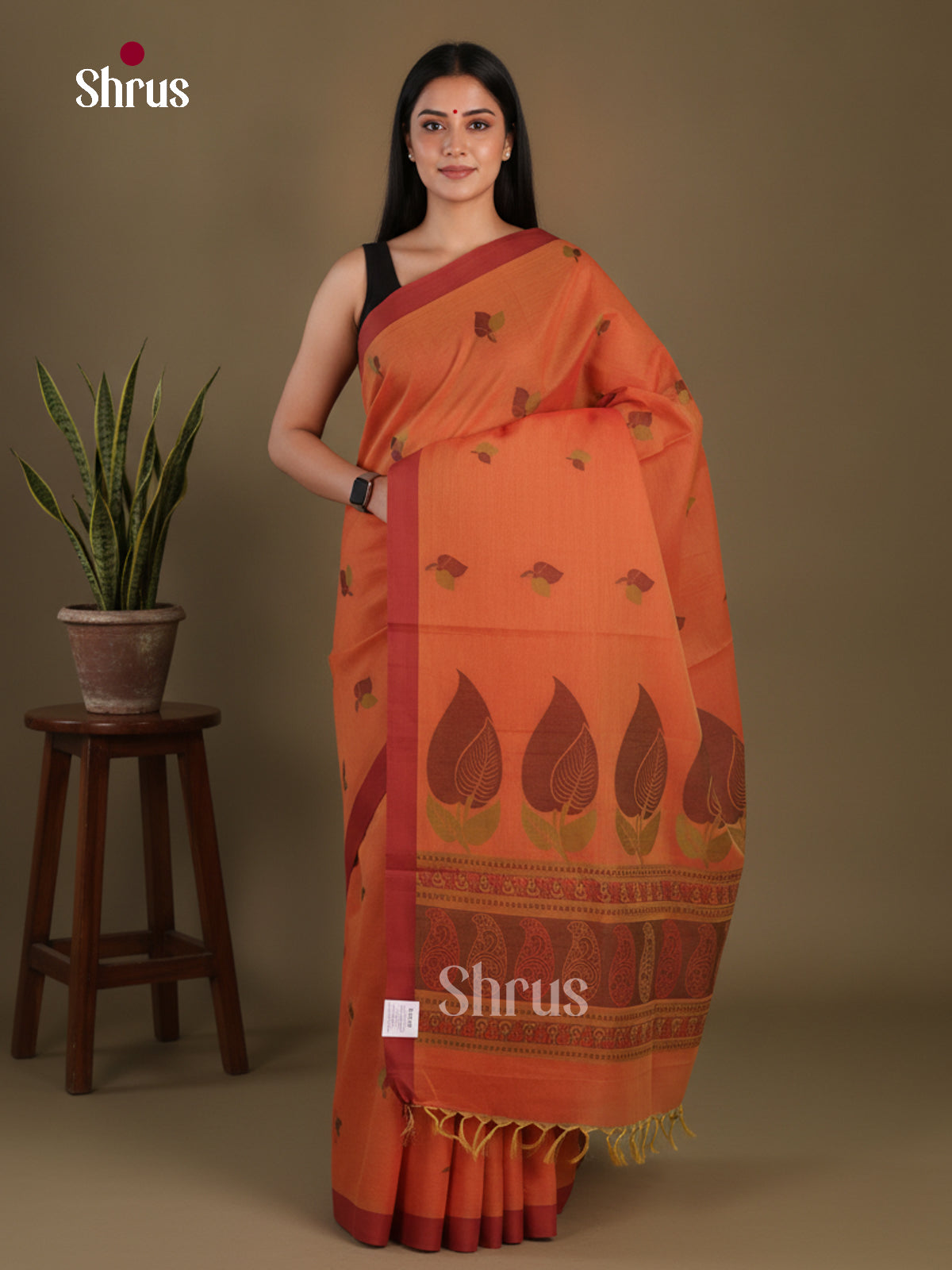 Coimbatore Cotton Saree - EFS06126