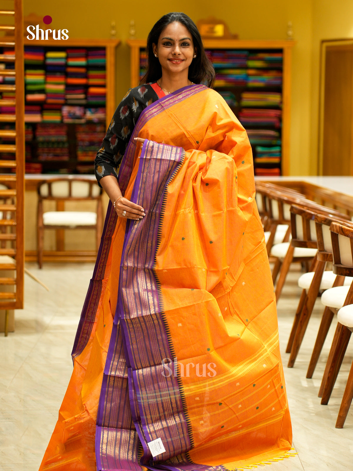 Chettinad Cotton Saree - EFS06198 - Shop on Shrus.com