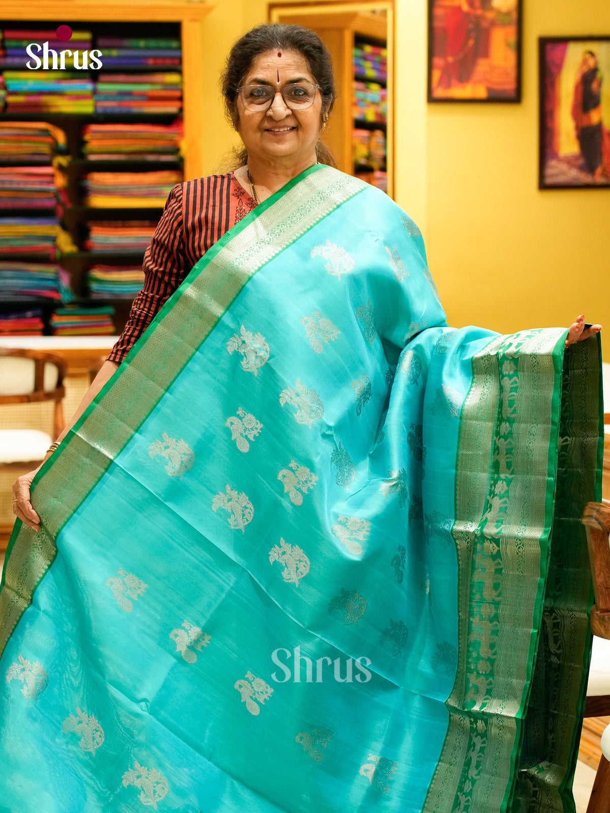 Venkatagiri silk Saree - EFS08043